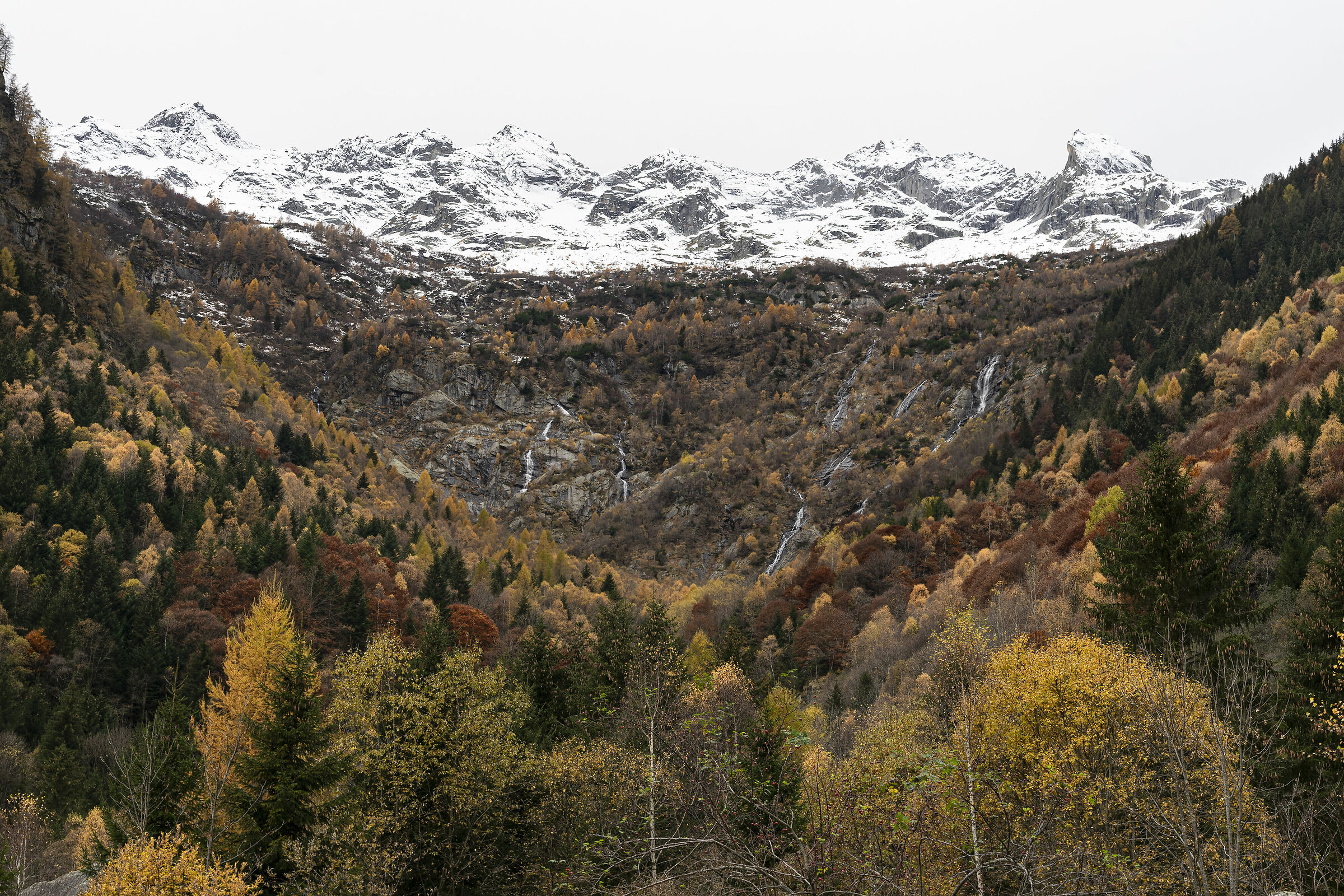 Bow to Beauty, Baths of Masino