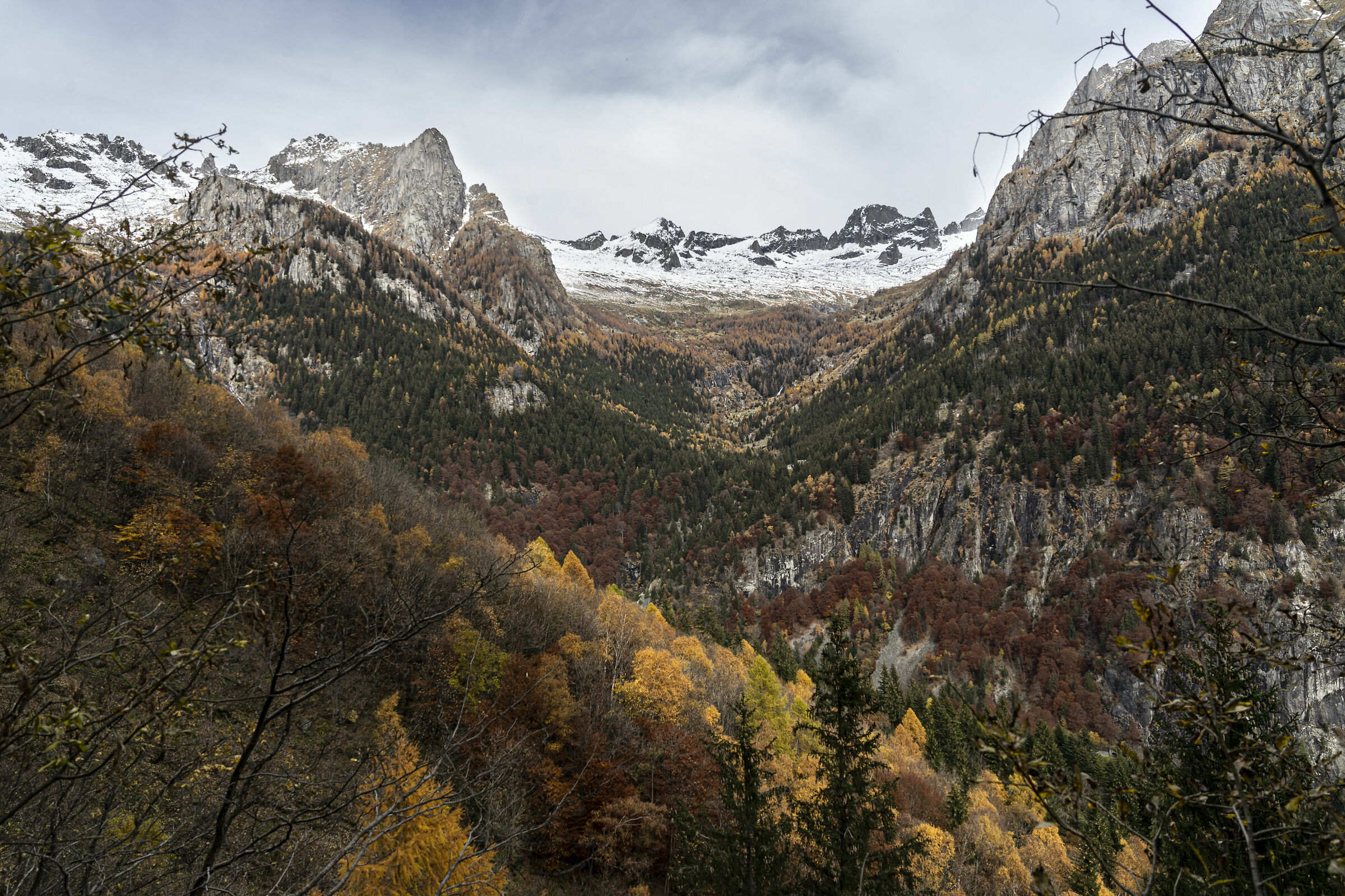 Belvedere, Masino Baths Forest