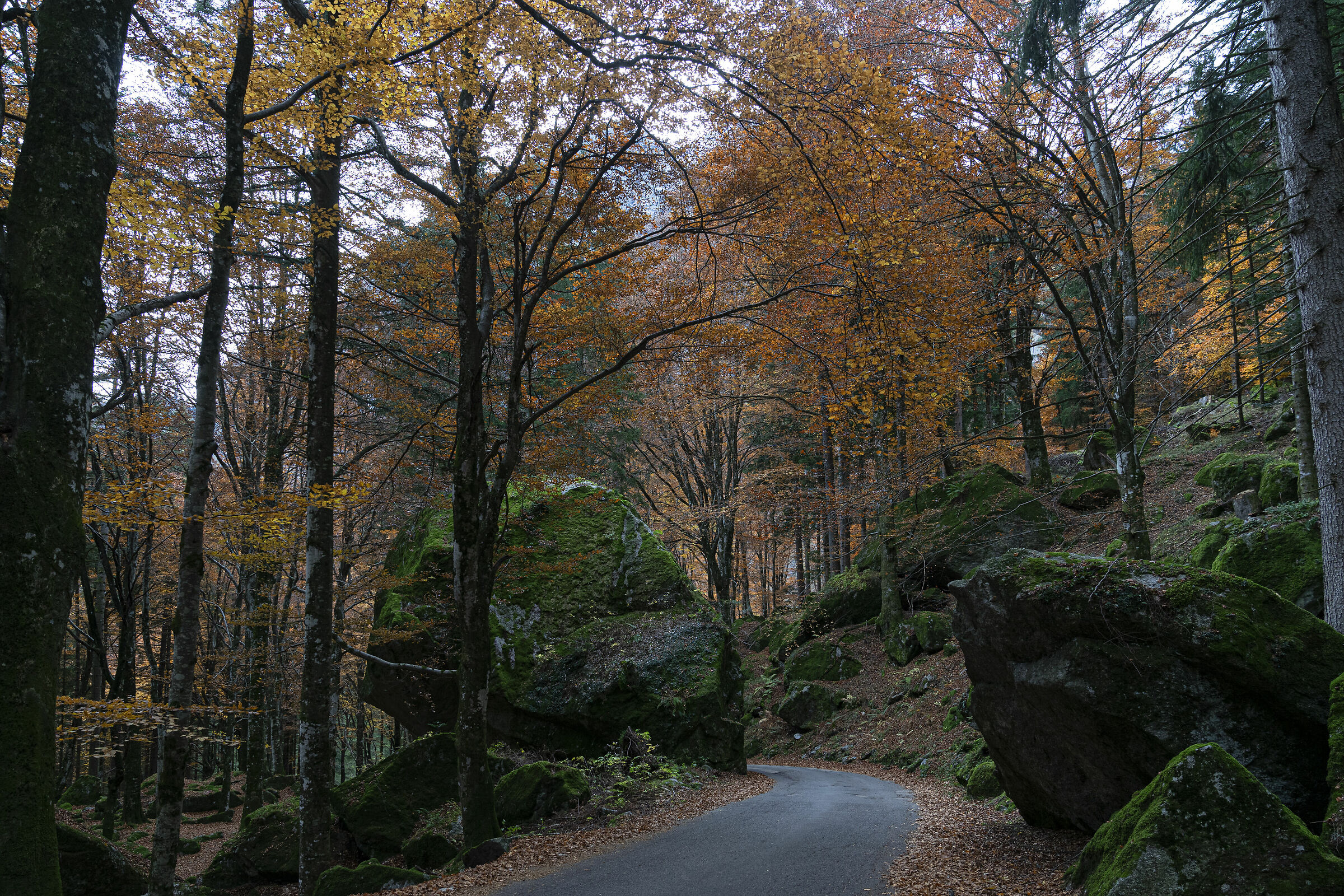 I Giganti e la Foresta, Bagni di Masino