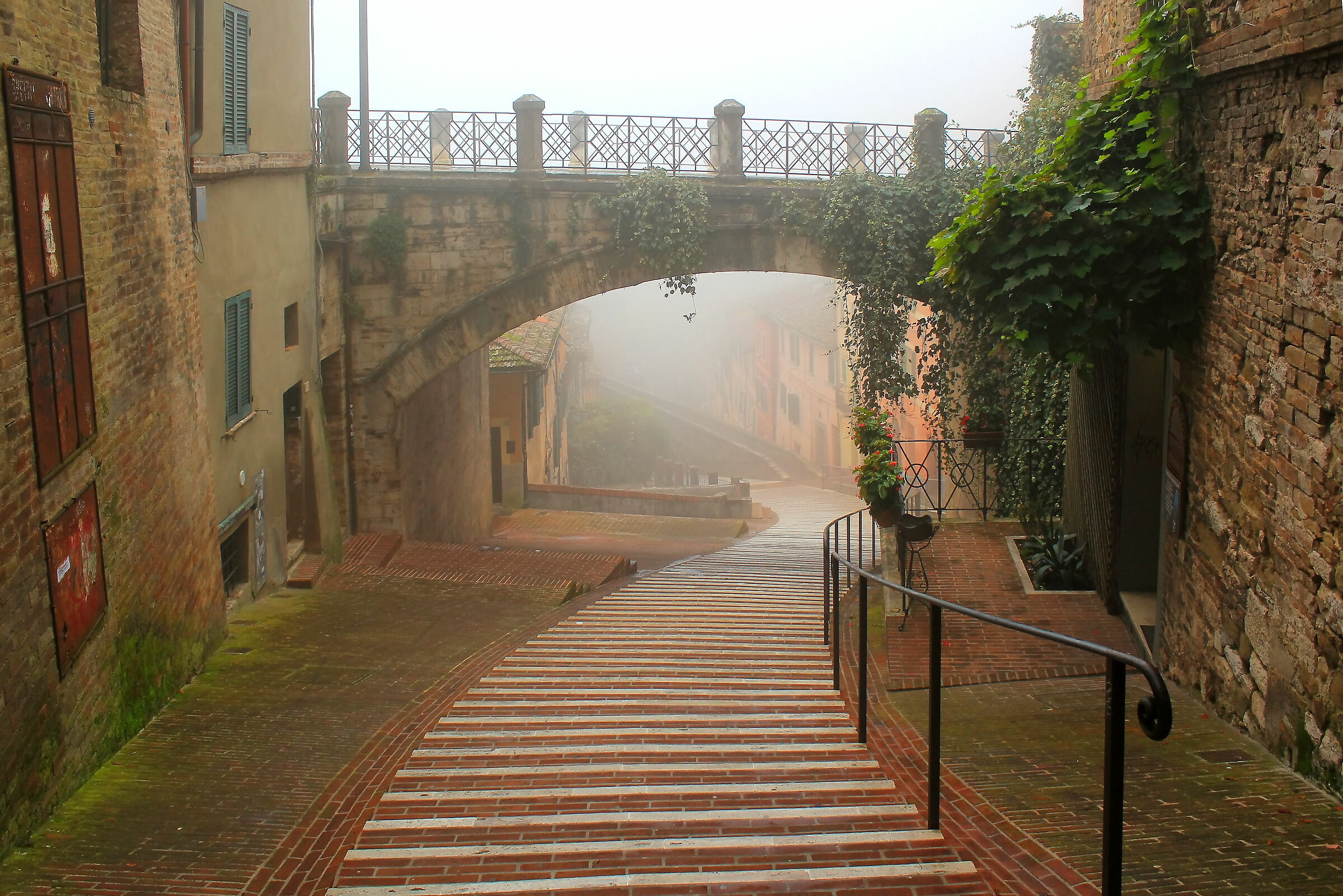 Perugia