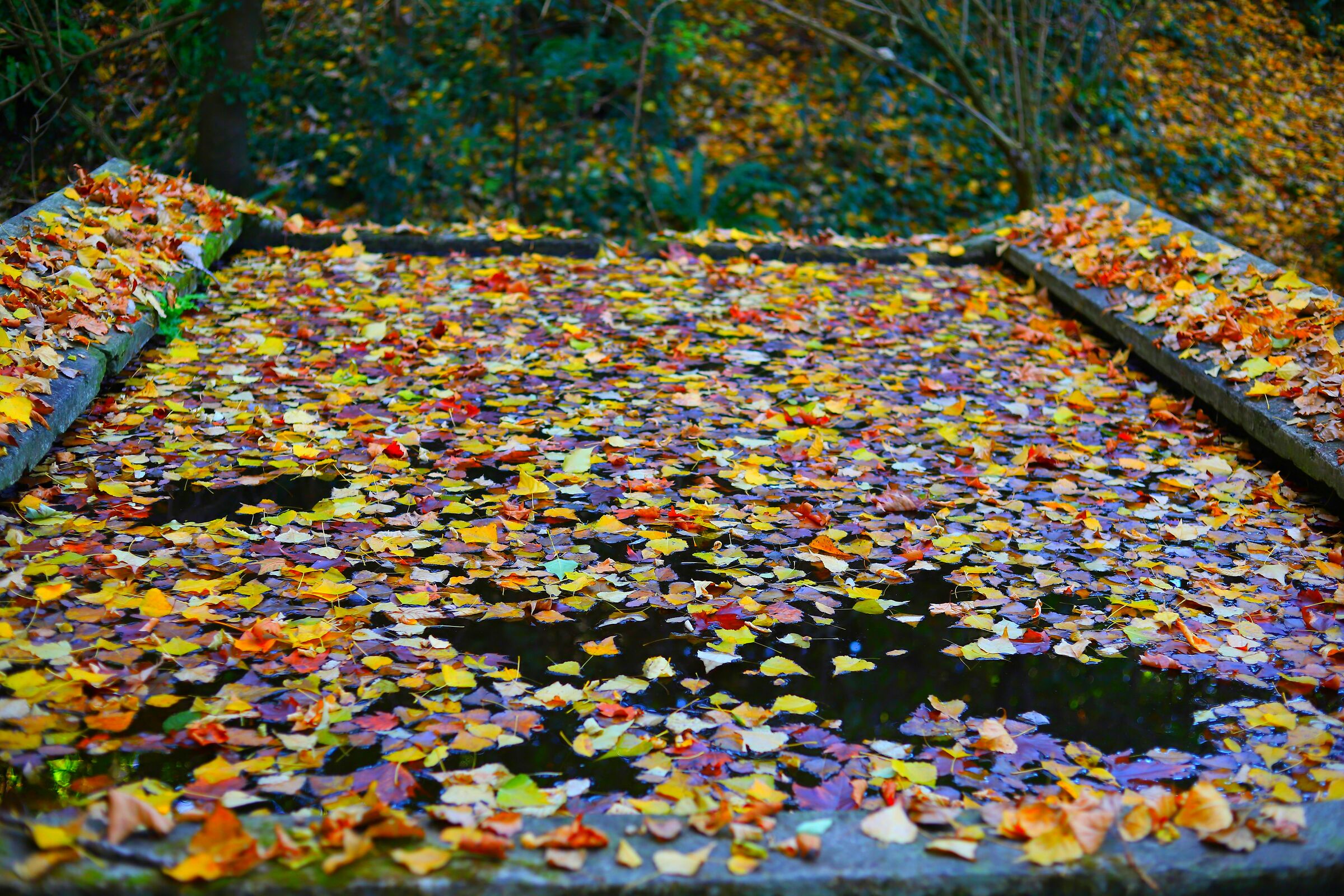 Il lavatoio d'autunno