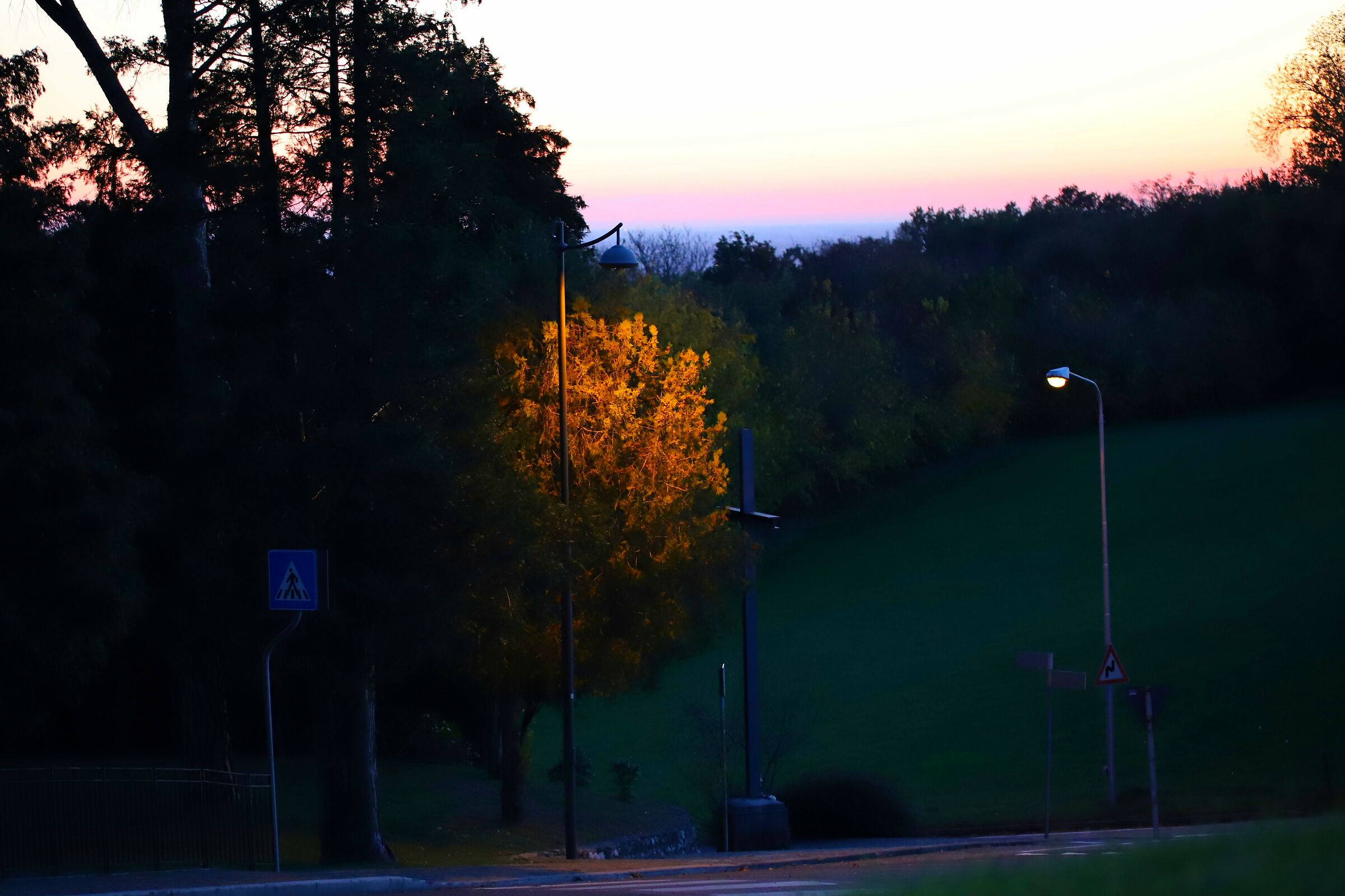 Tra alberi e lampione