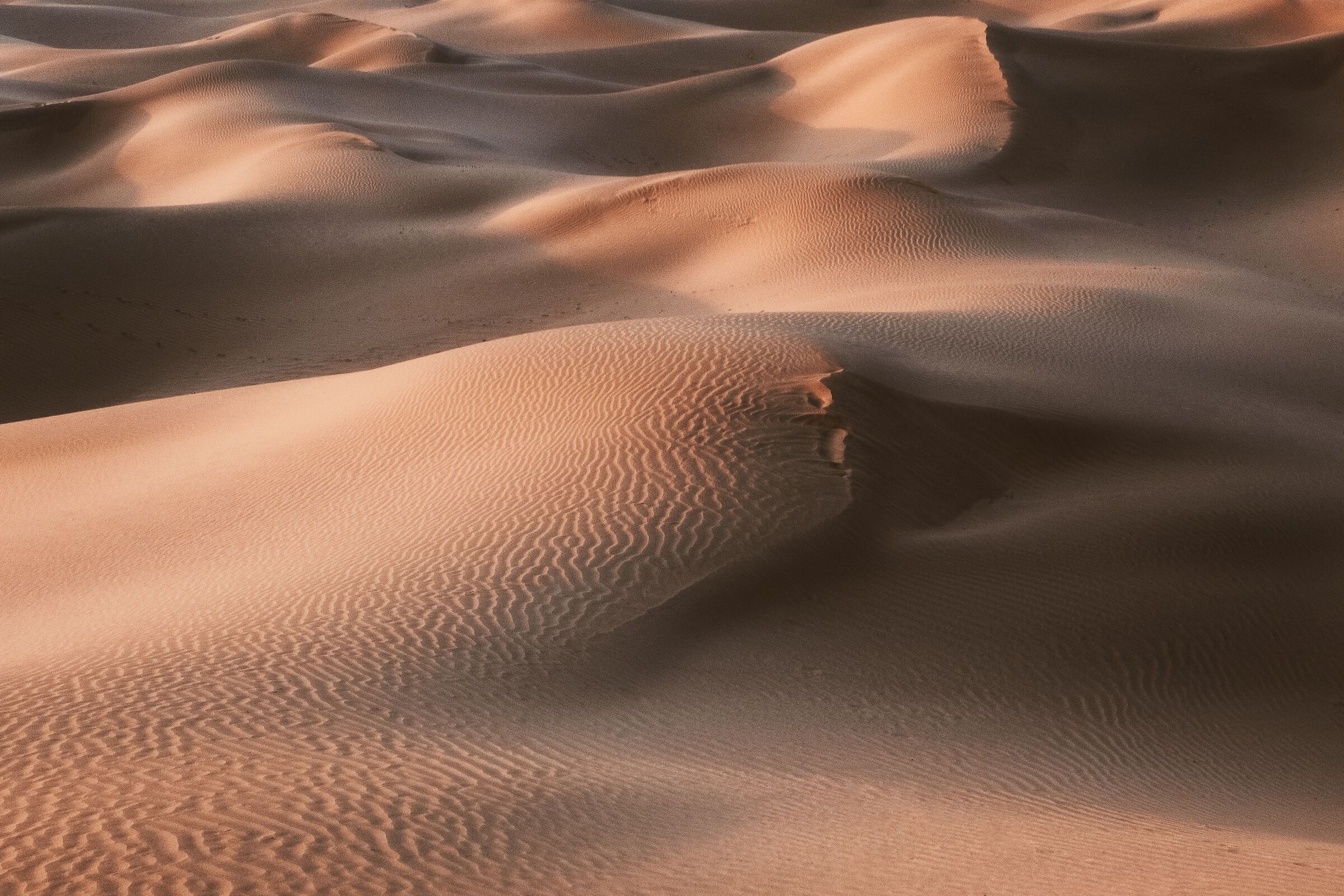 deserto del Thar
