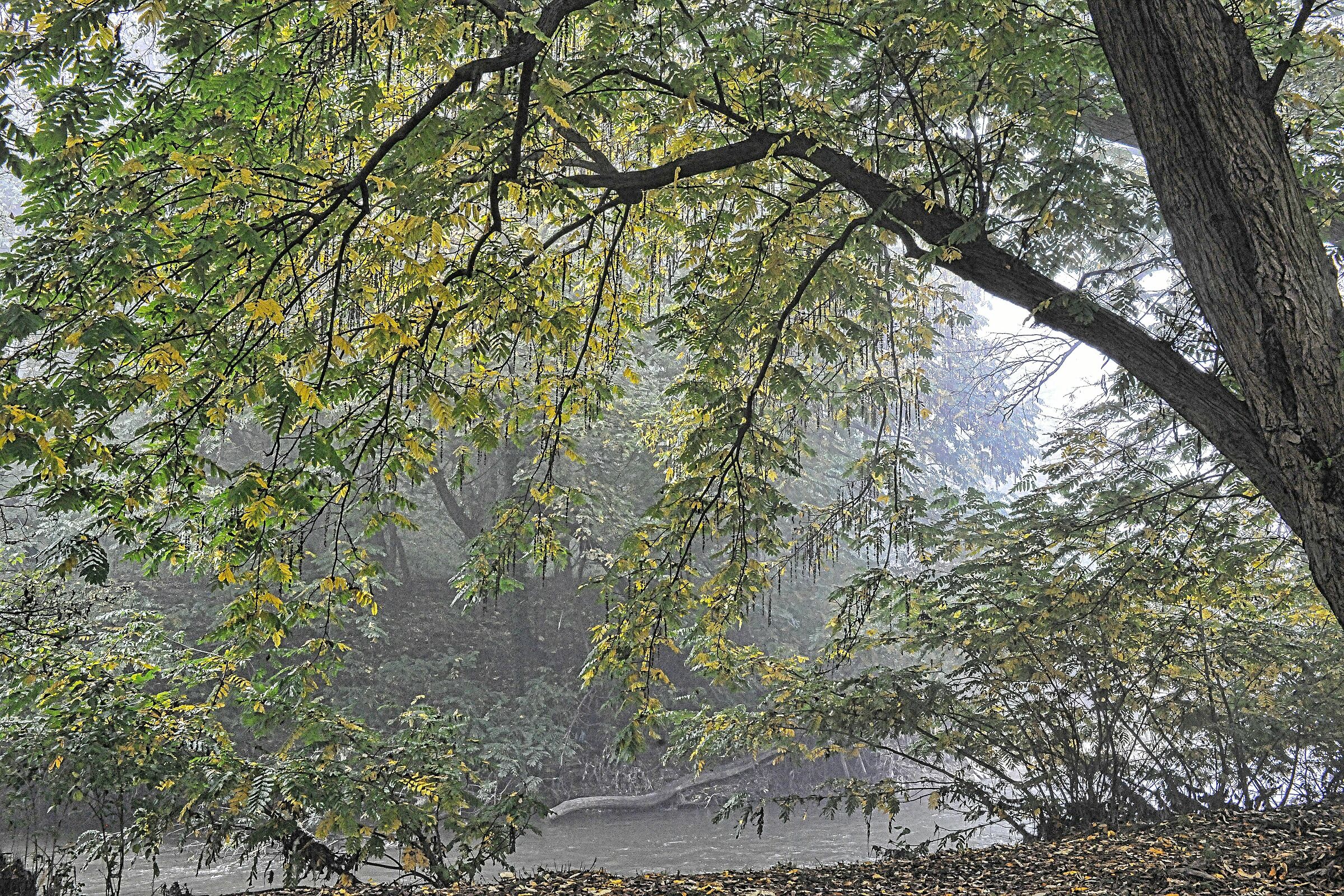 Milano Parco Lambro