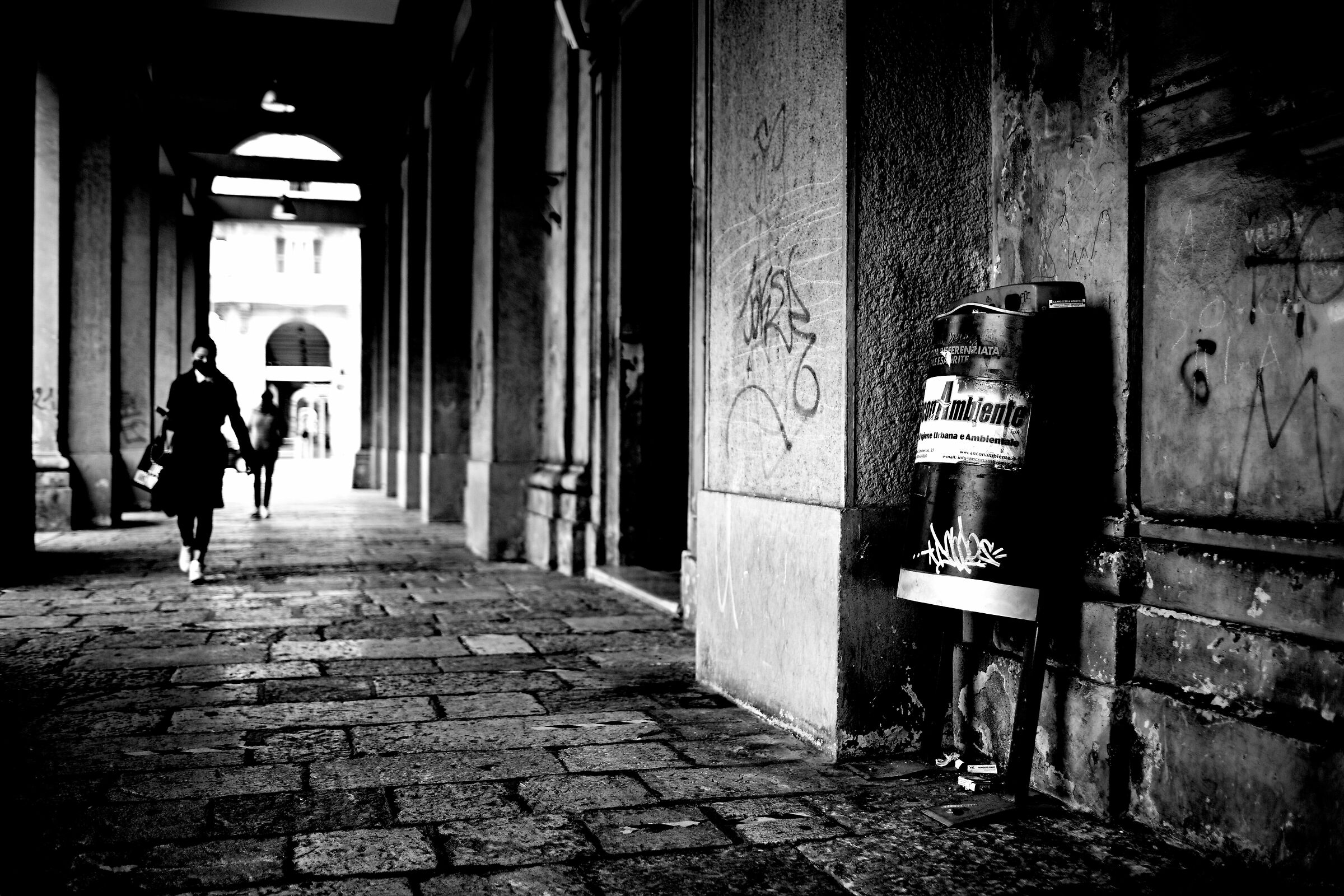 Forgotten Collection