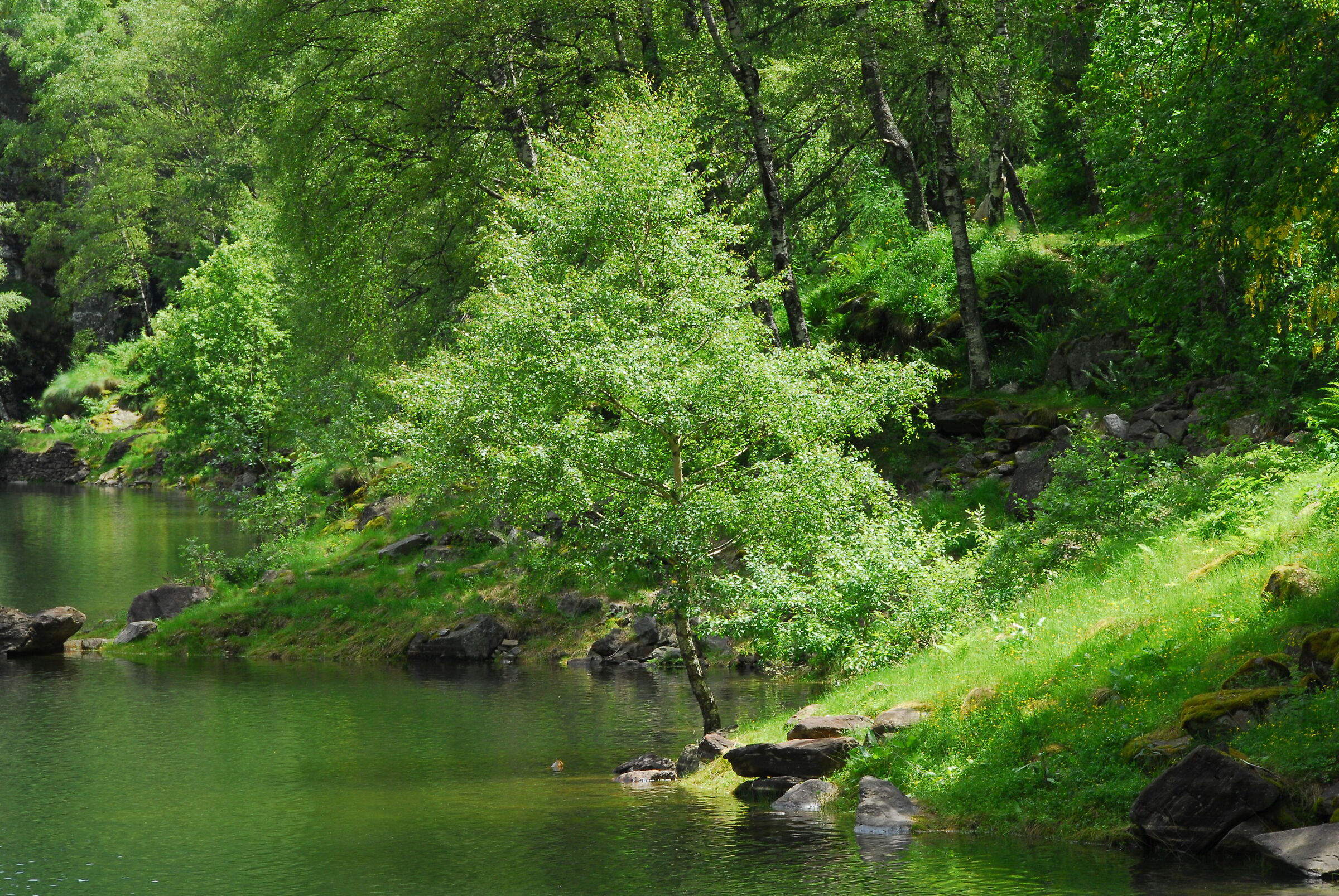 A dip in the green