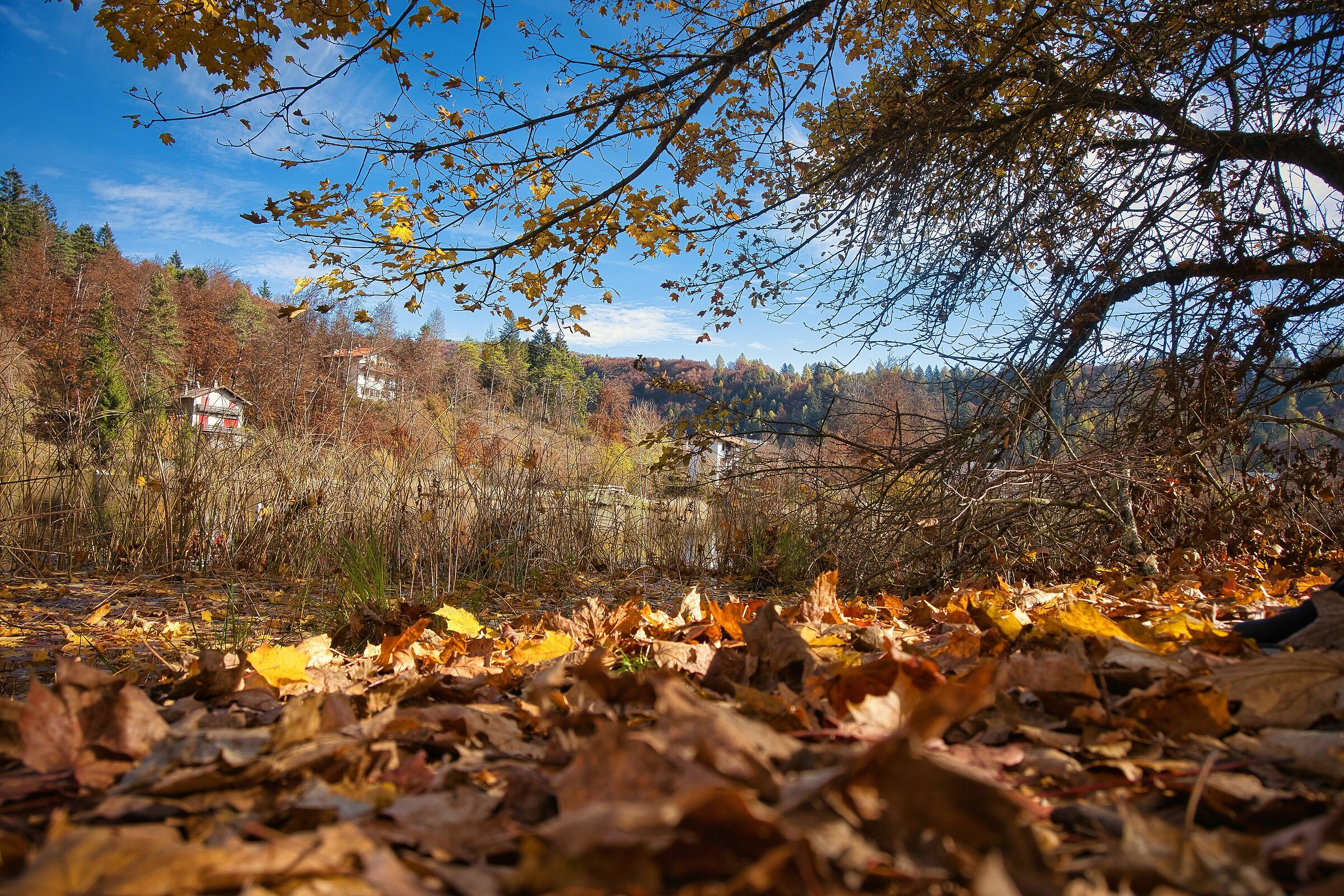 Autumn on the lake