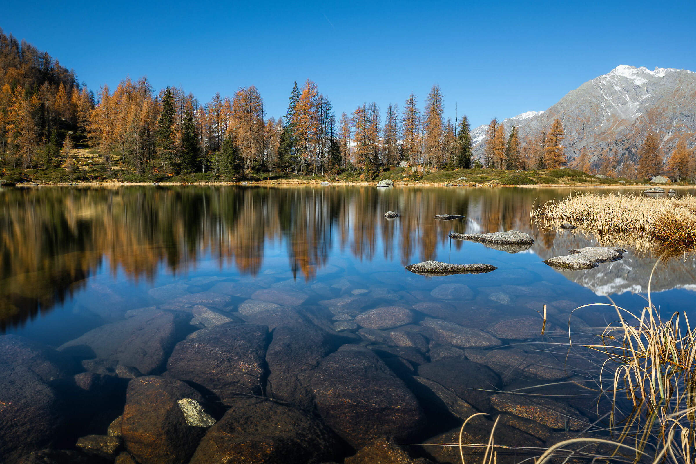 Reflections of St. Julian