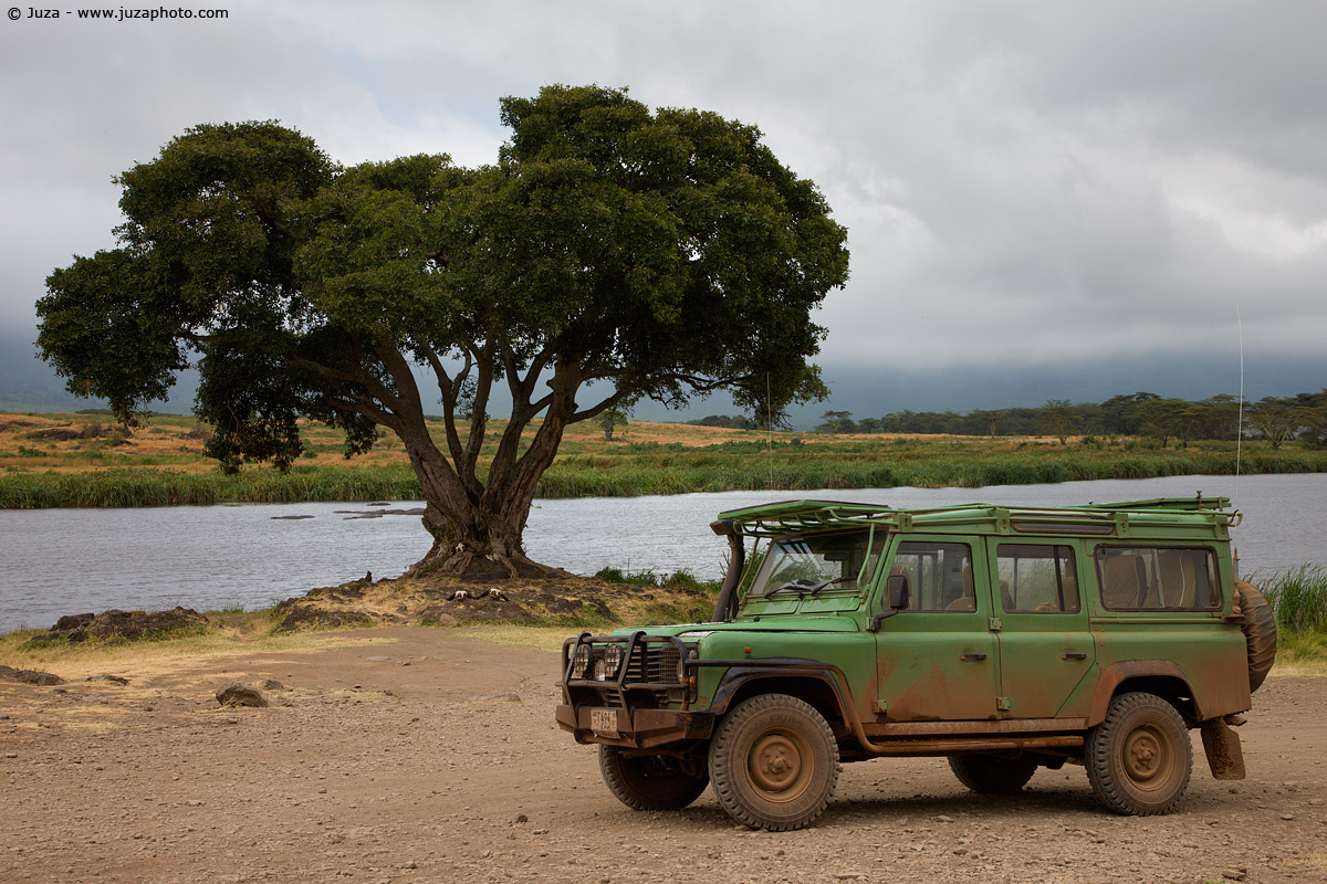 Land Rover Defender, 008031