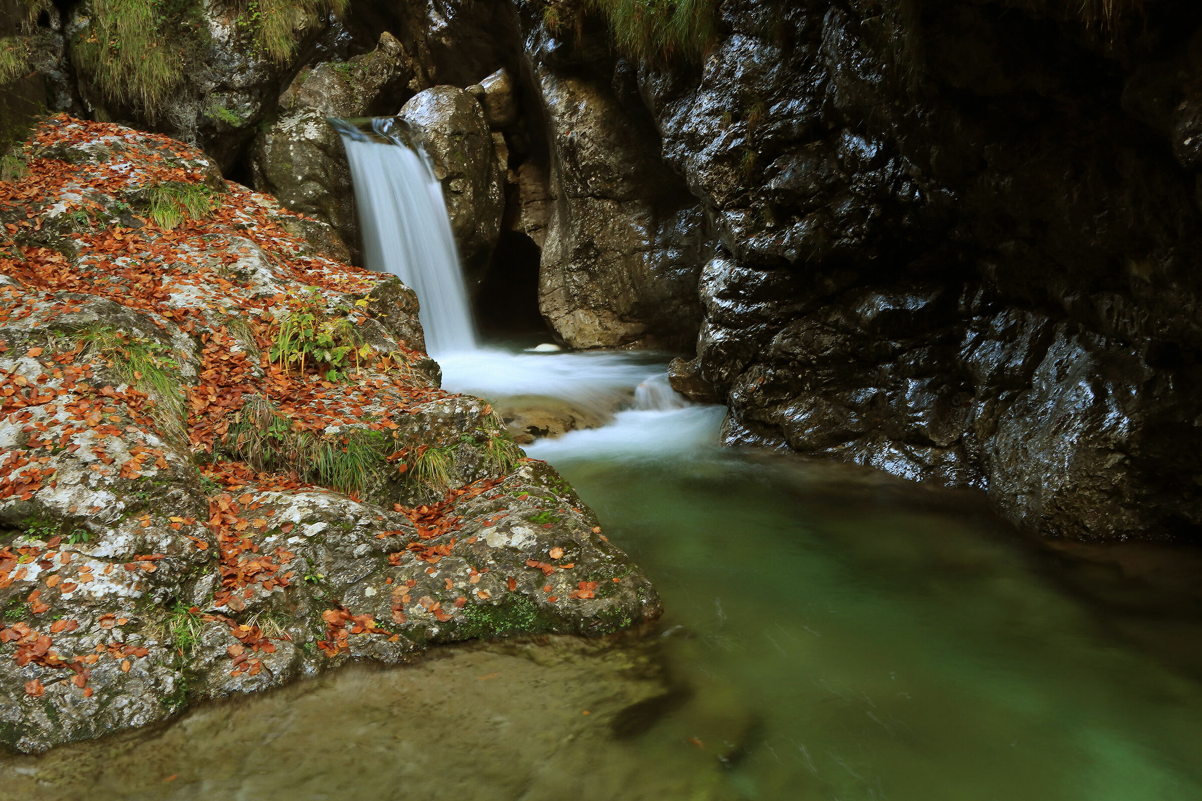 V A L V E R T O V A  3