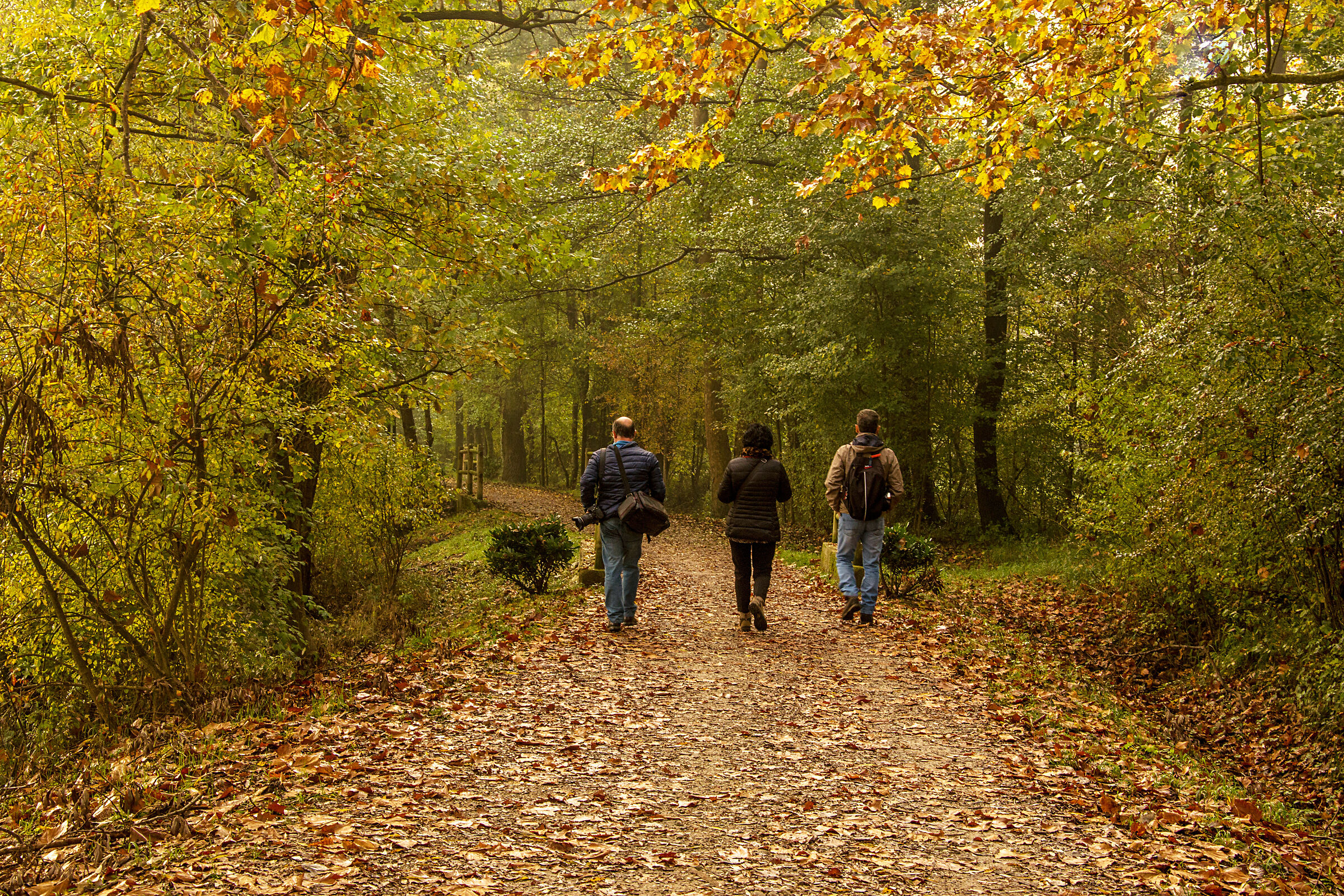 ancora loro, inconsapevoli modelli