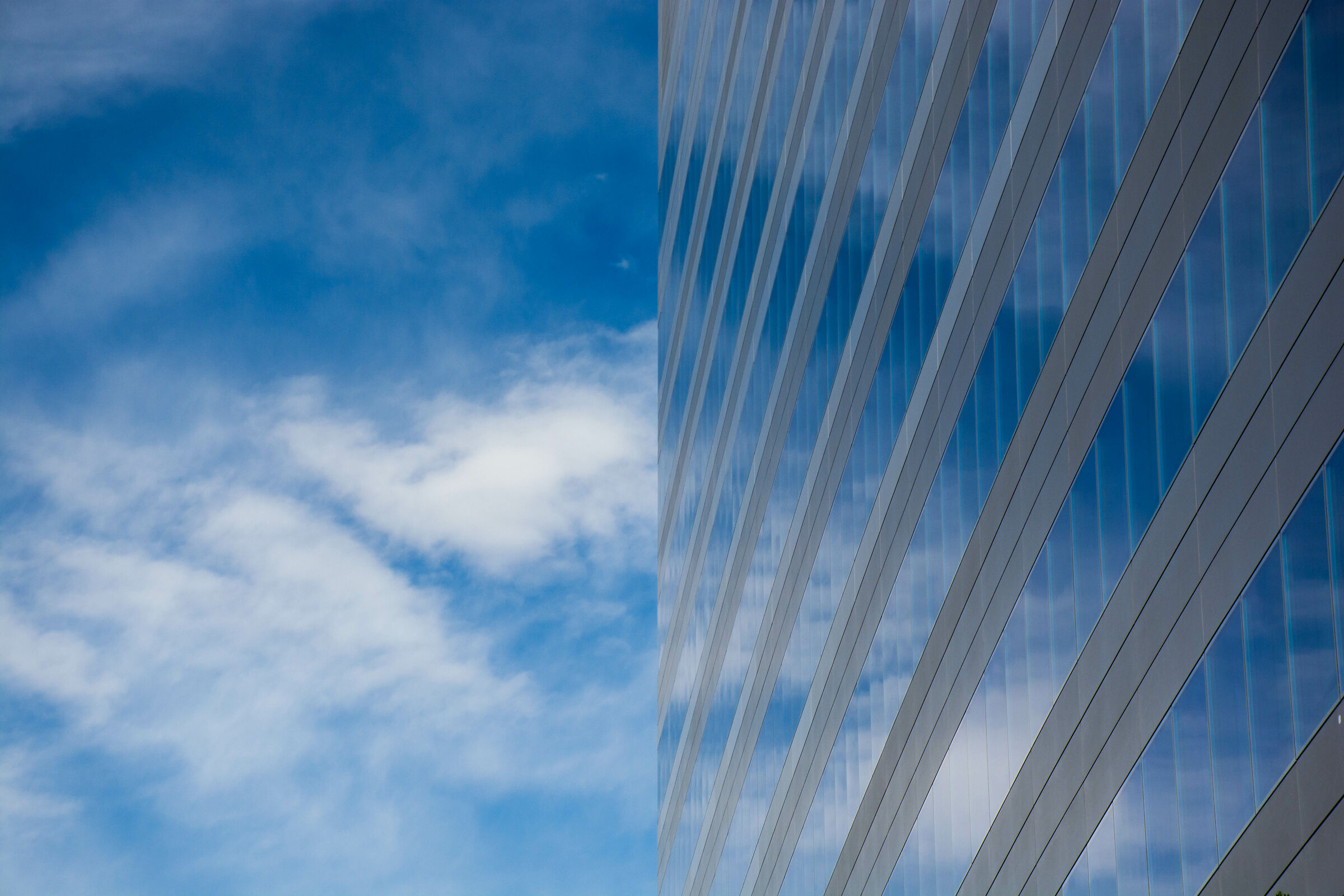 Lo specchio nello specchio