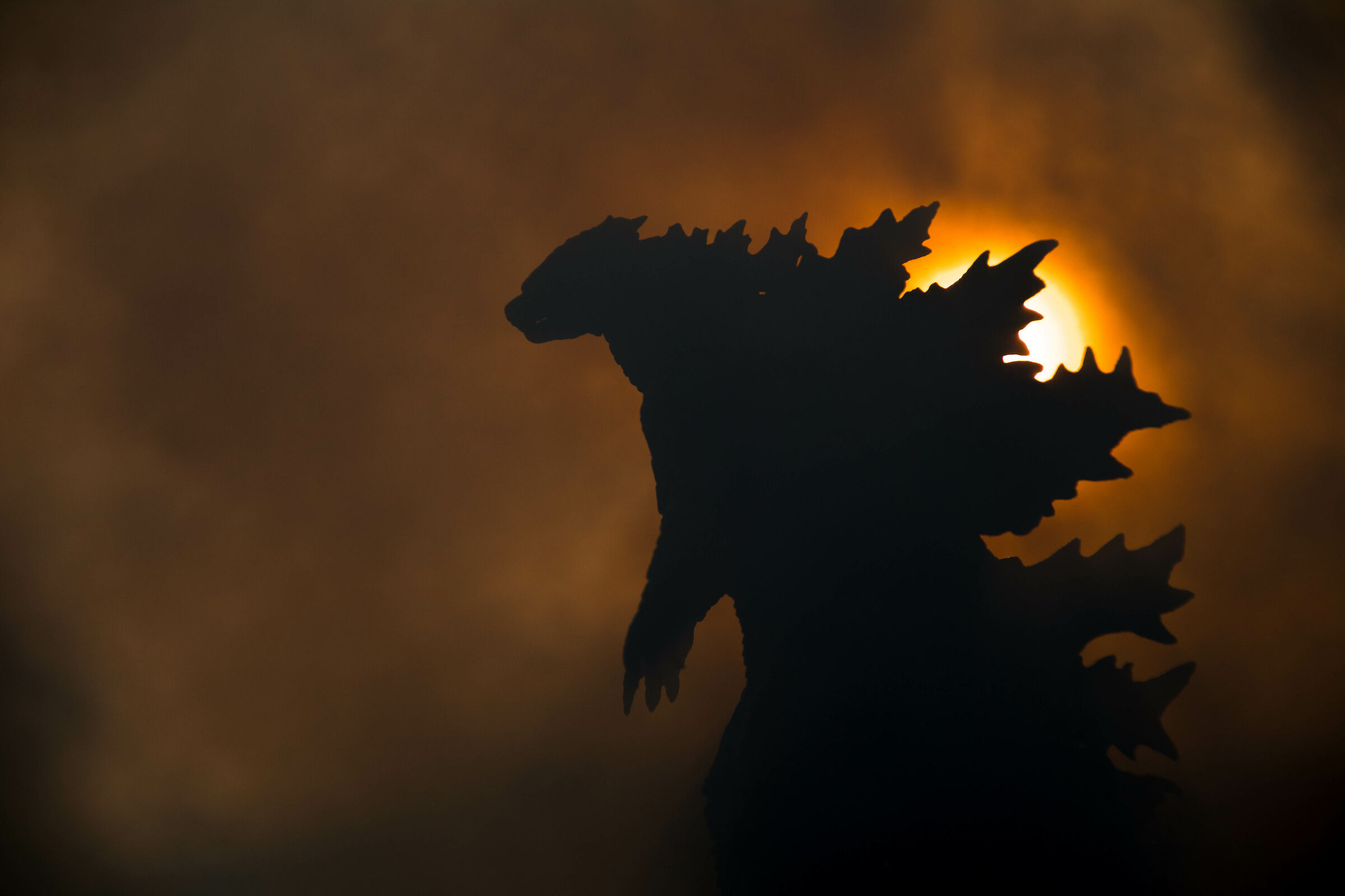 Aspettando King Kong...