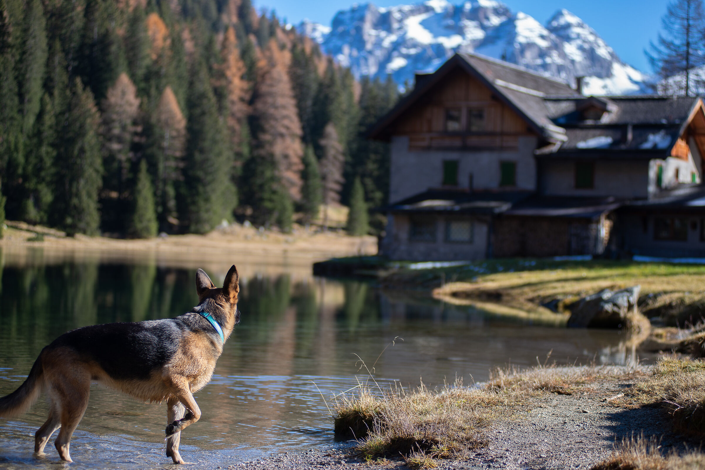 Layla, in the Nambino