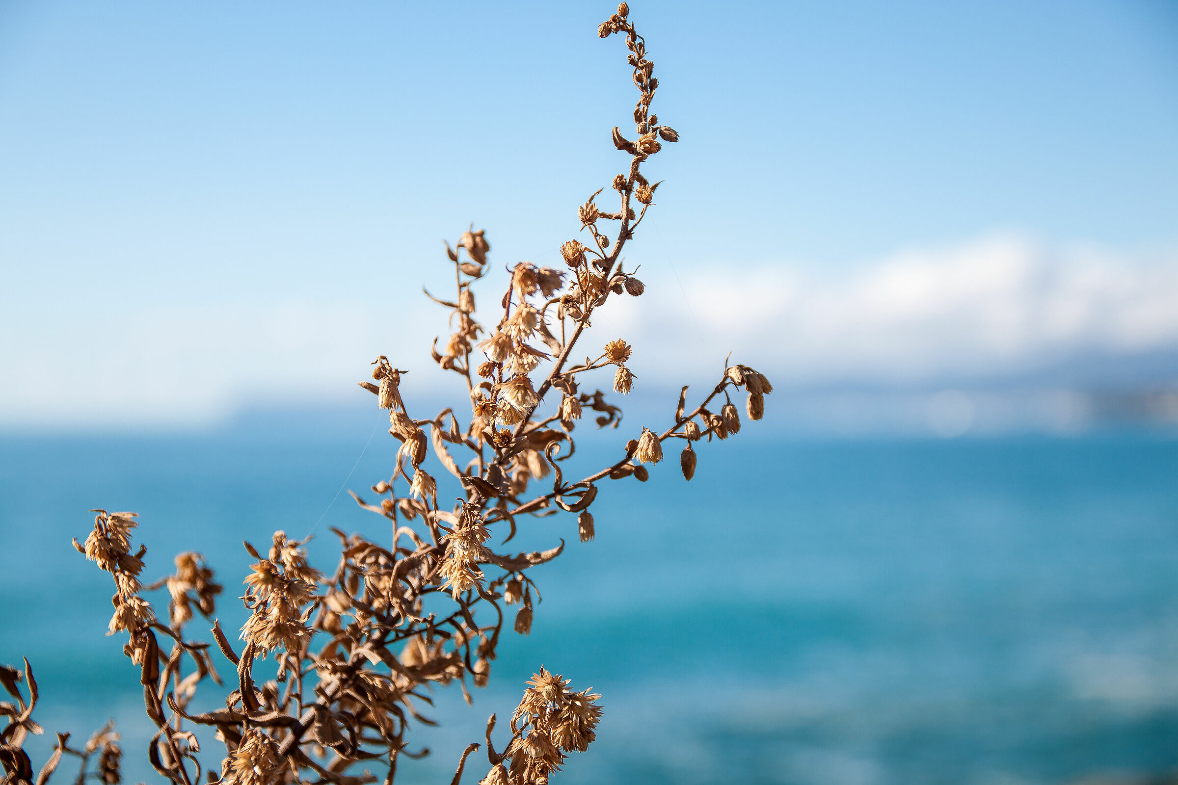 Autumn in Liguria