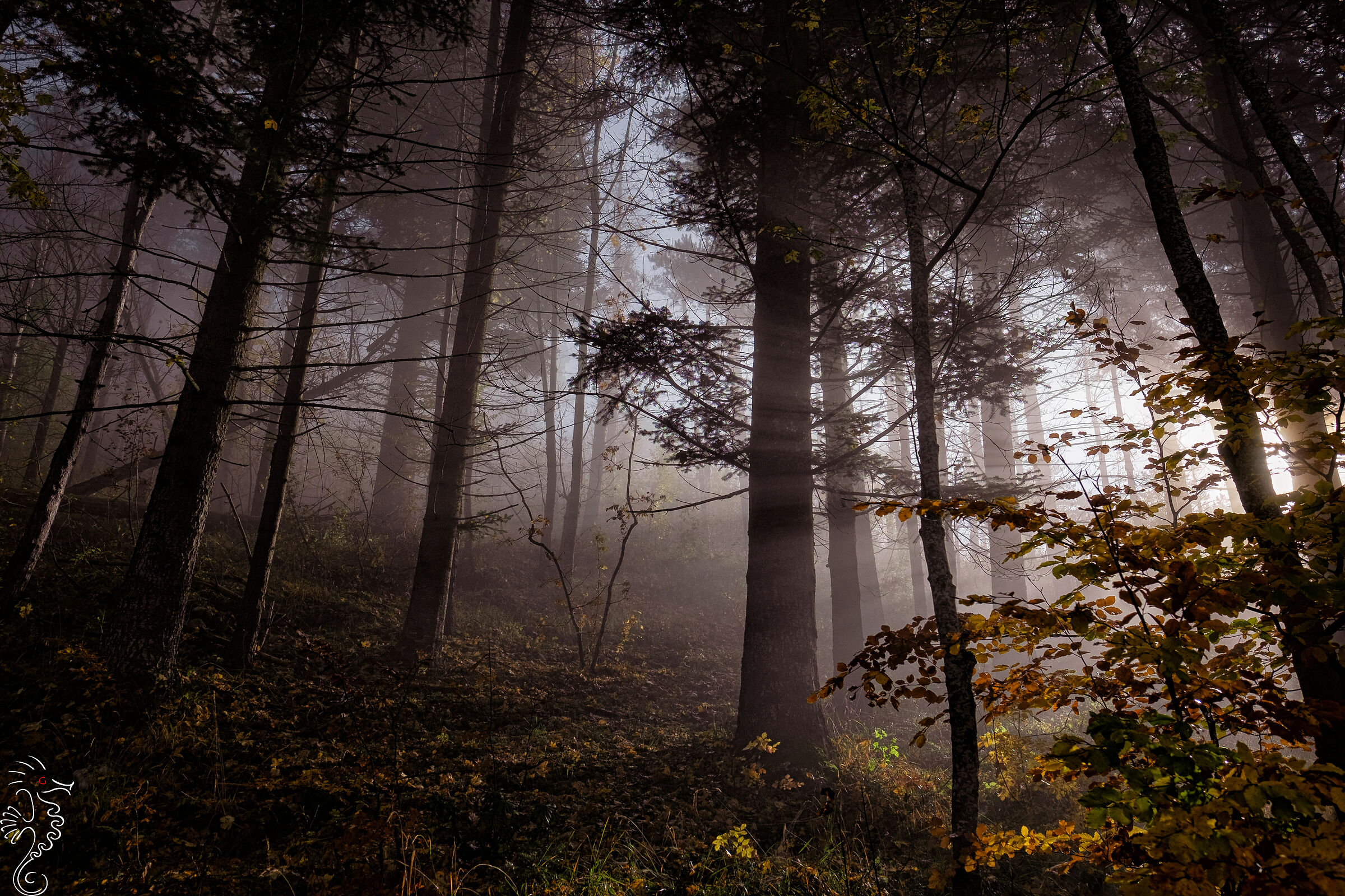 Going up towards Passo Lanciano