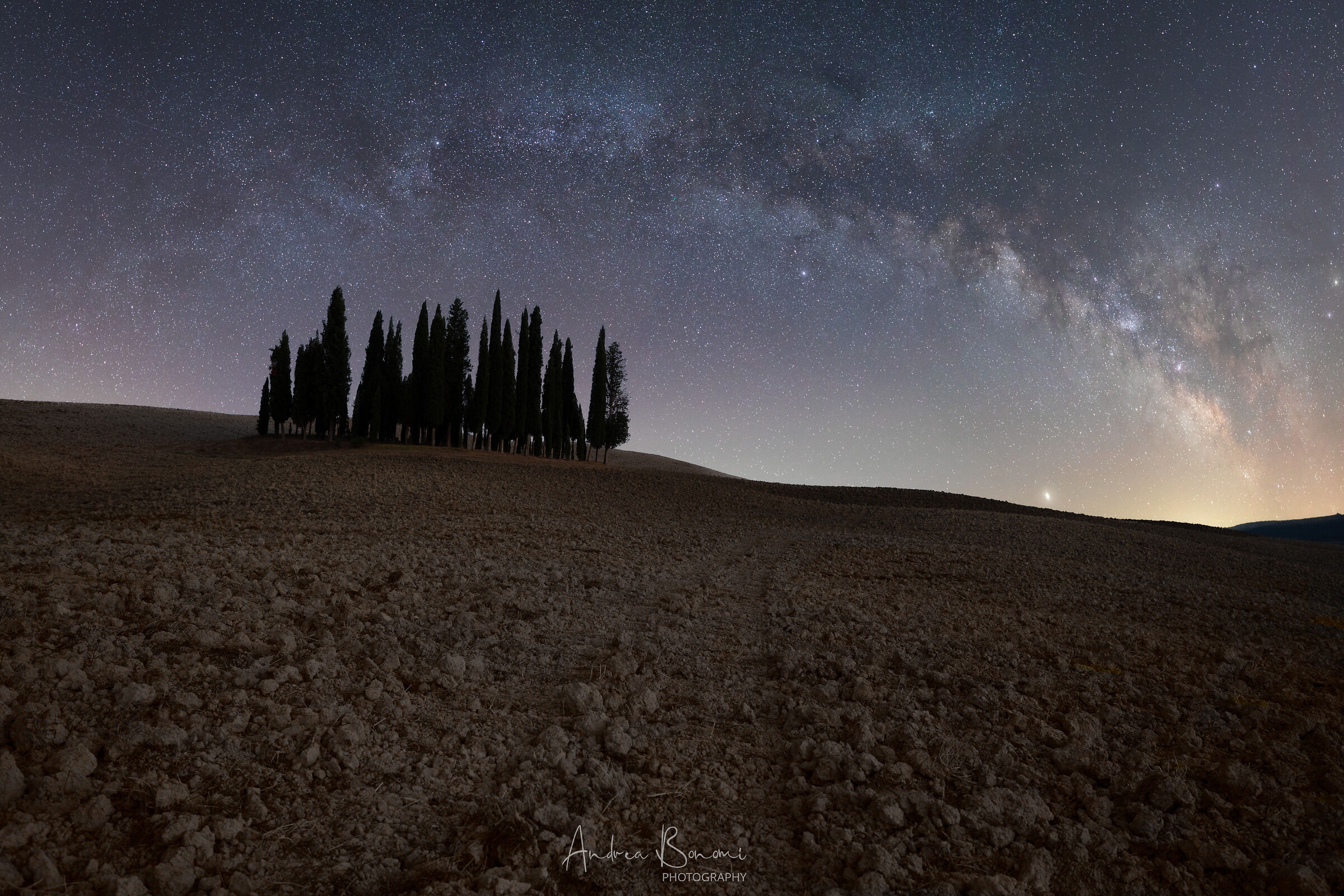 Cypress trees in Val d'Orcia