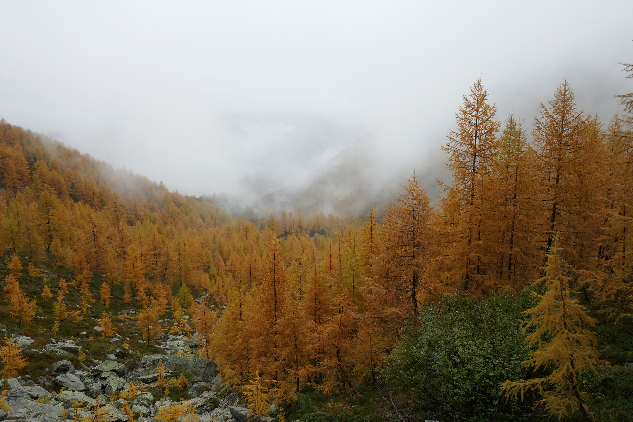 Indian summer aostano