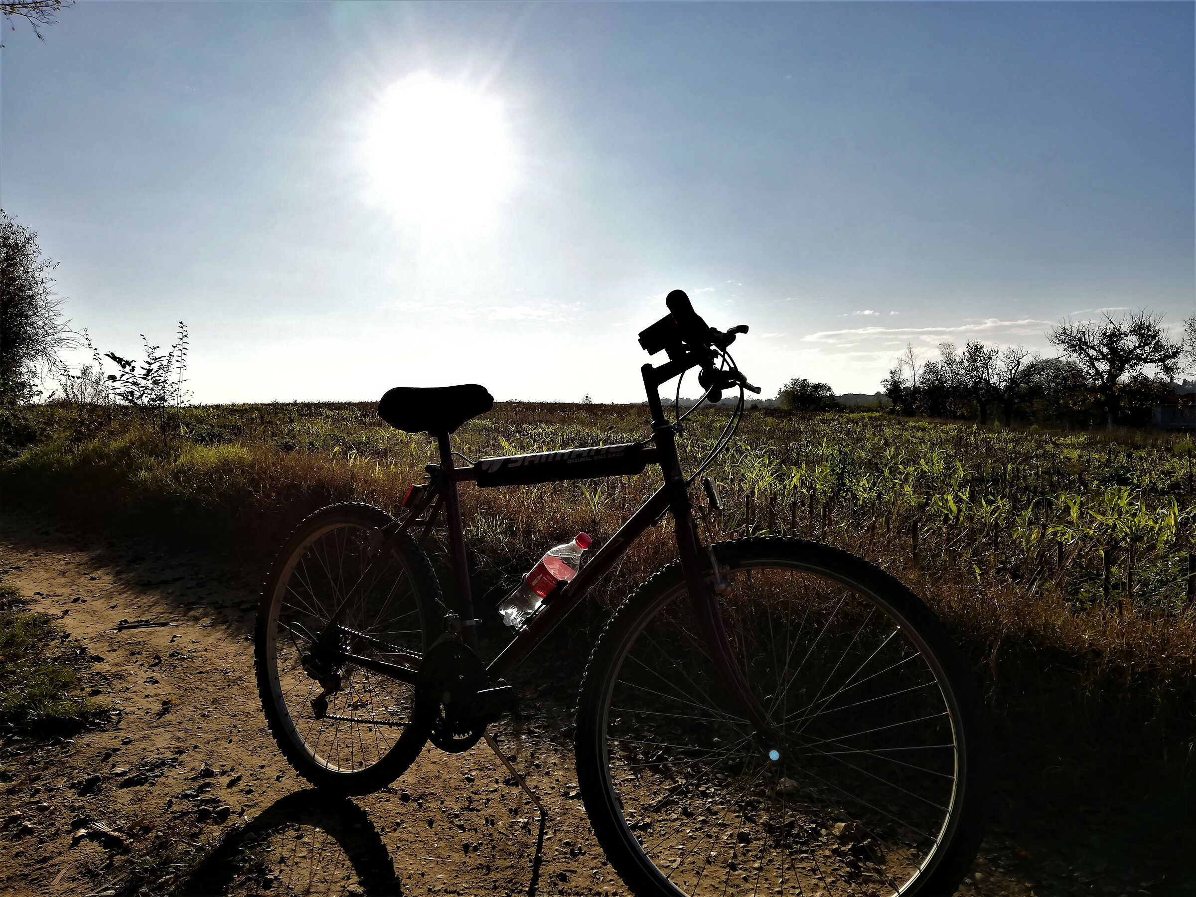 biciclettata autunnale...