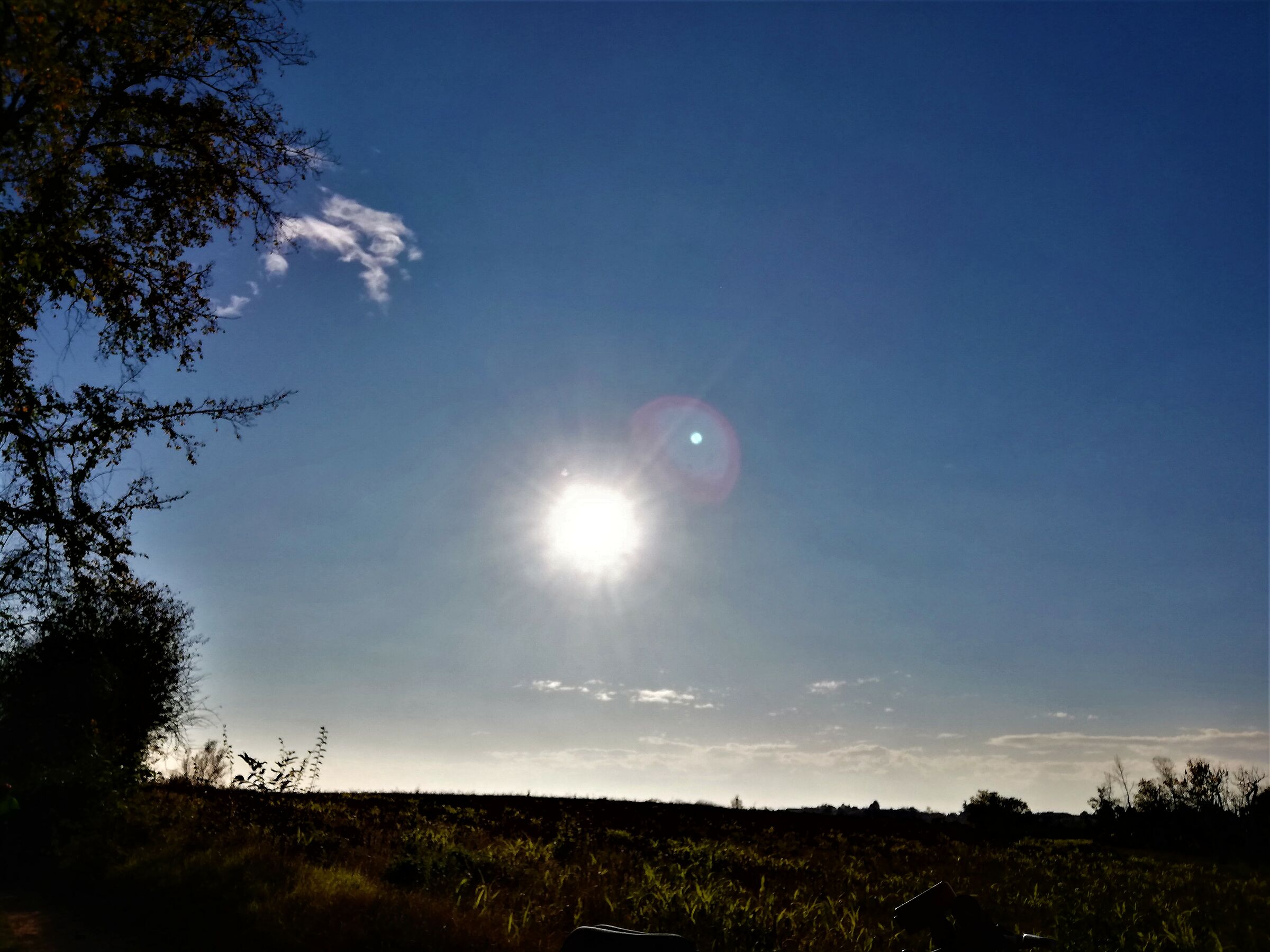 sole splendido autunnale...