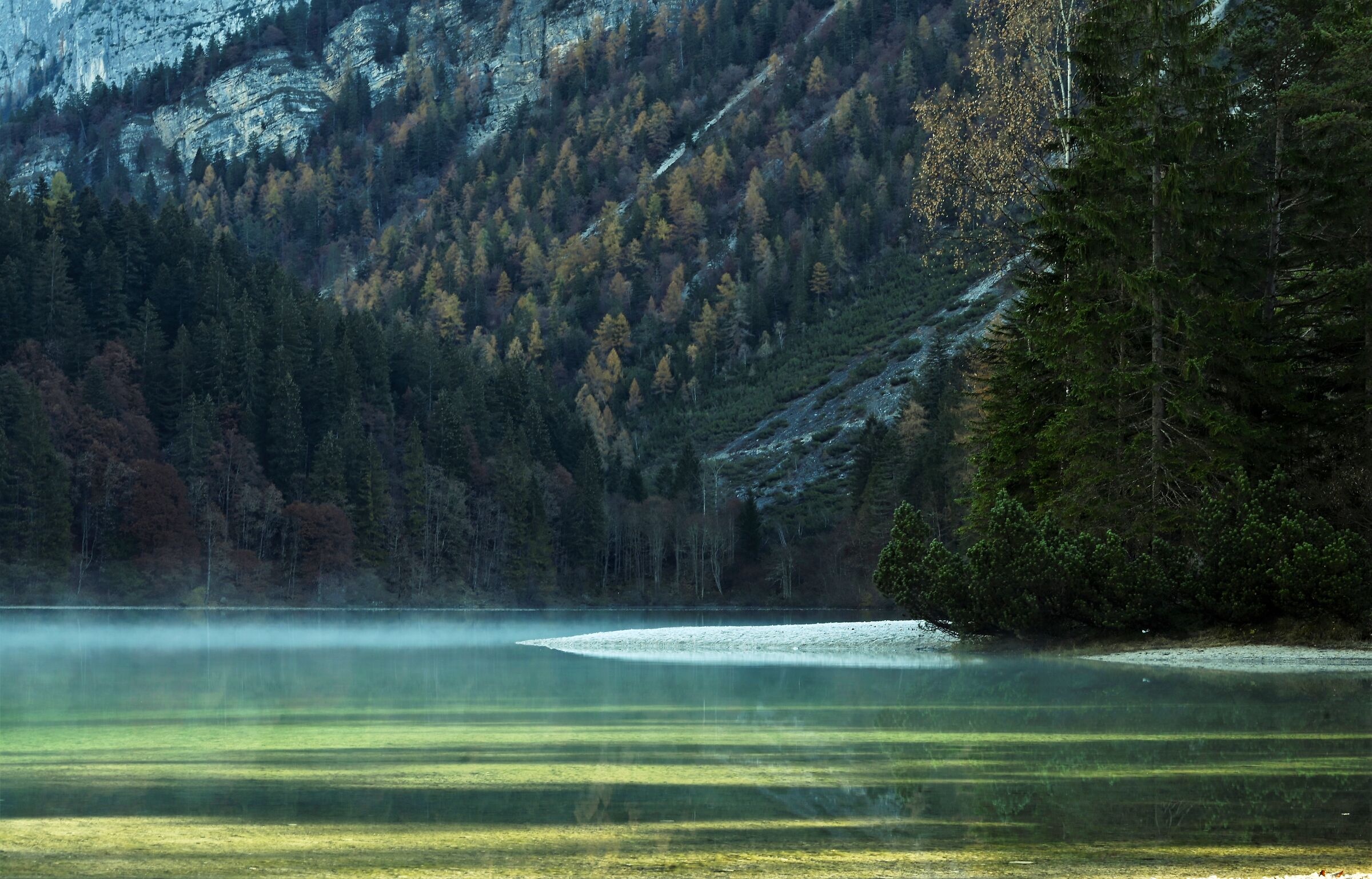 Prime luci del mattino...