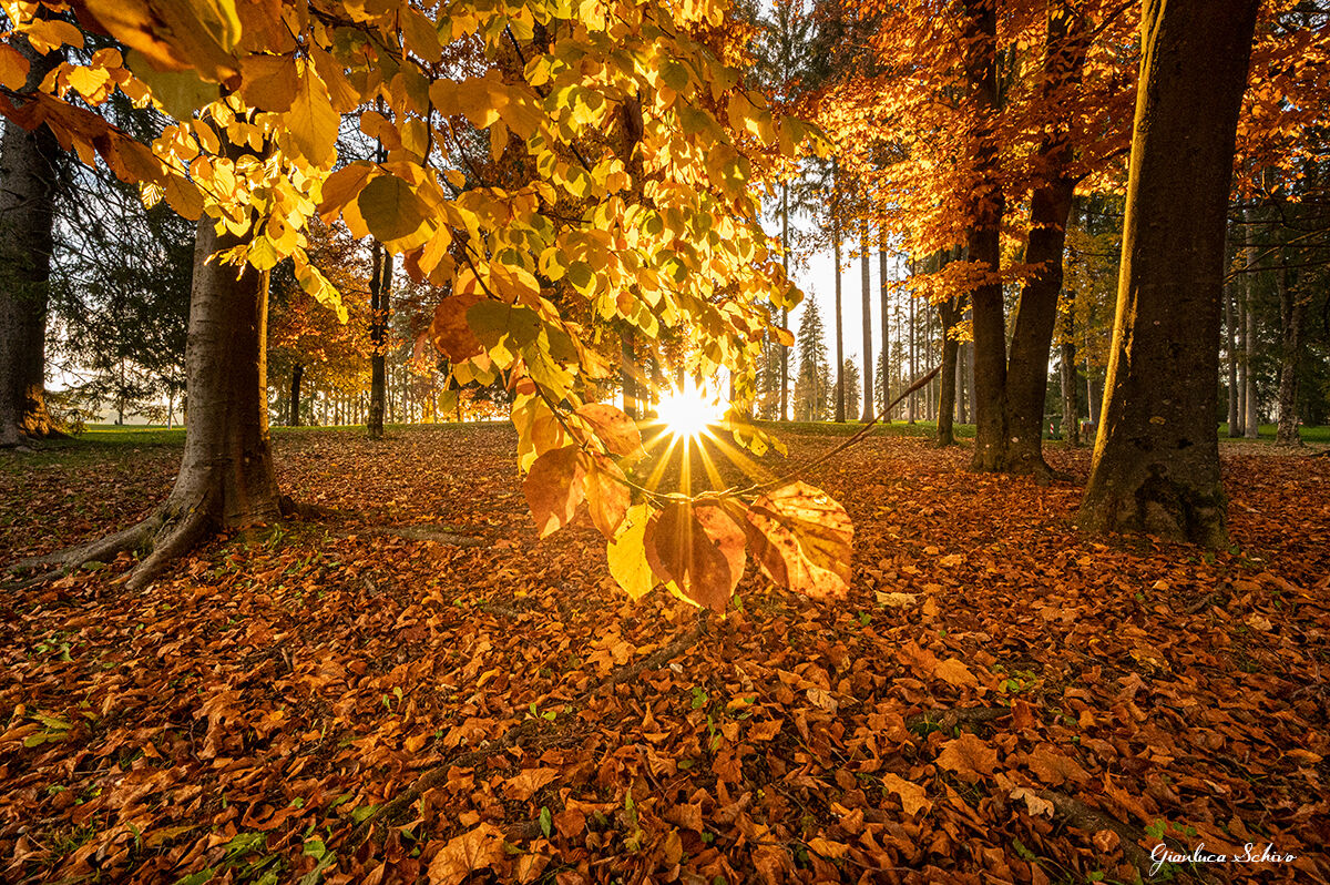 Al tramonto la luce riscalda e colora l'autunno