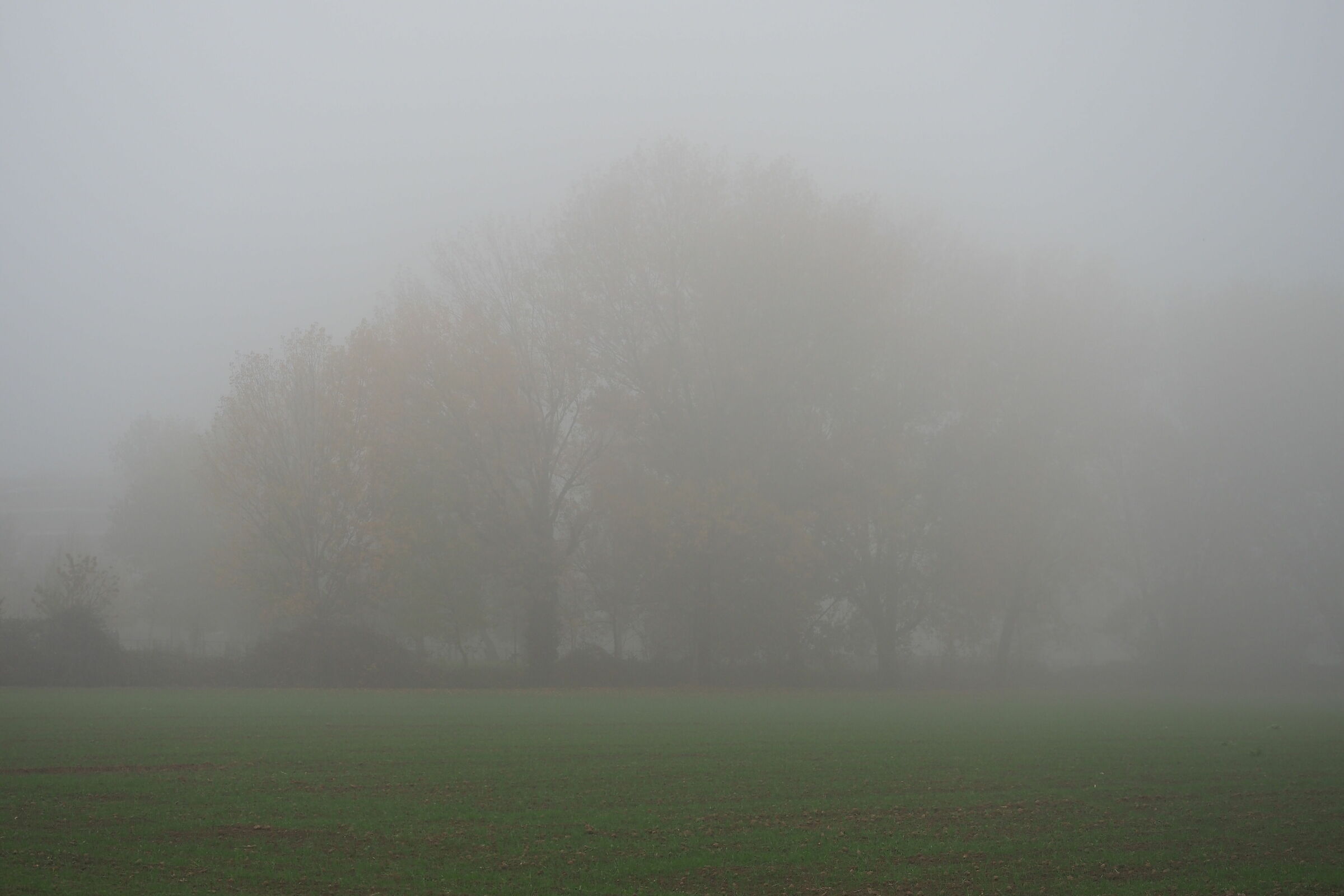 Sunday afternoon on the outskirts of Milan with fog