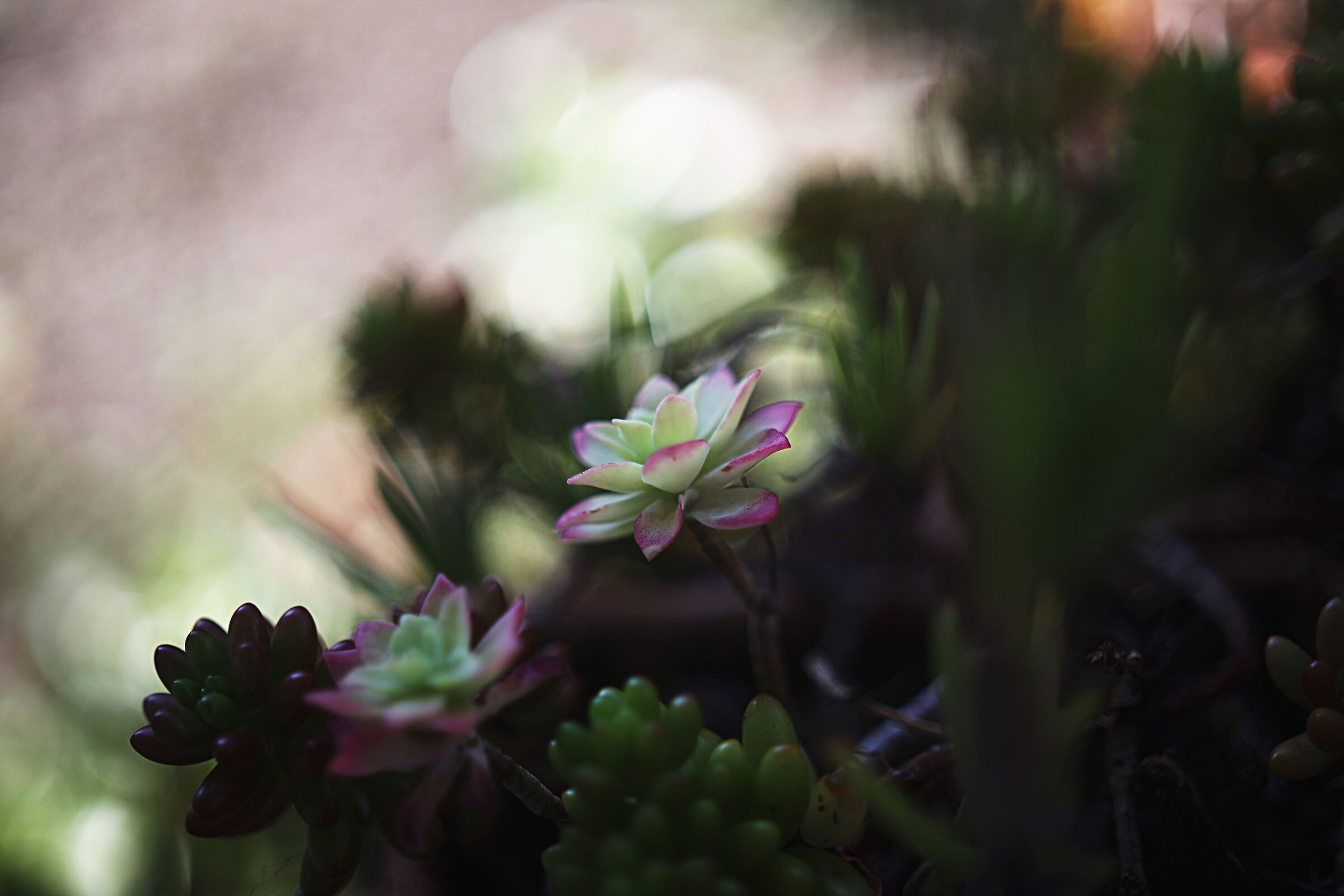Untitled Photo