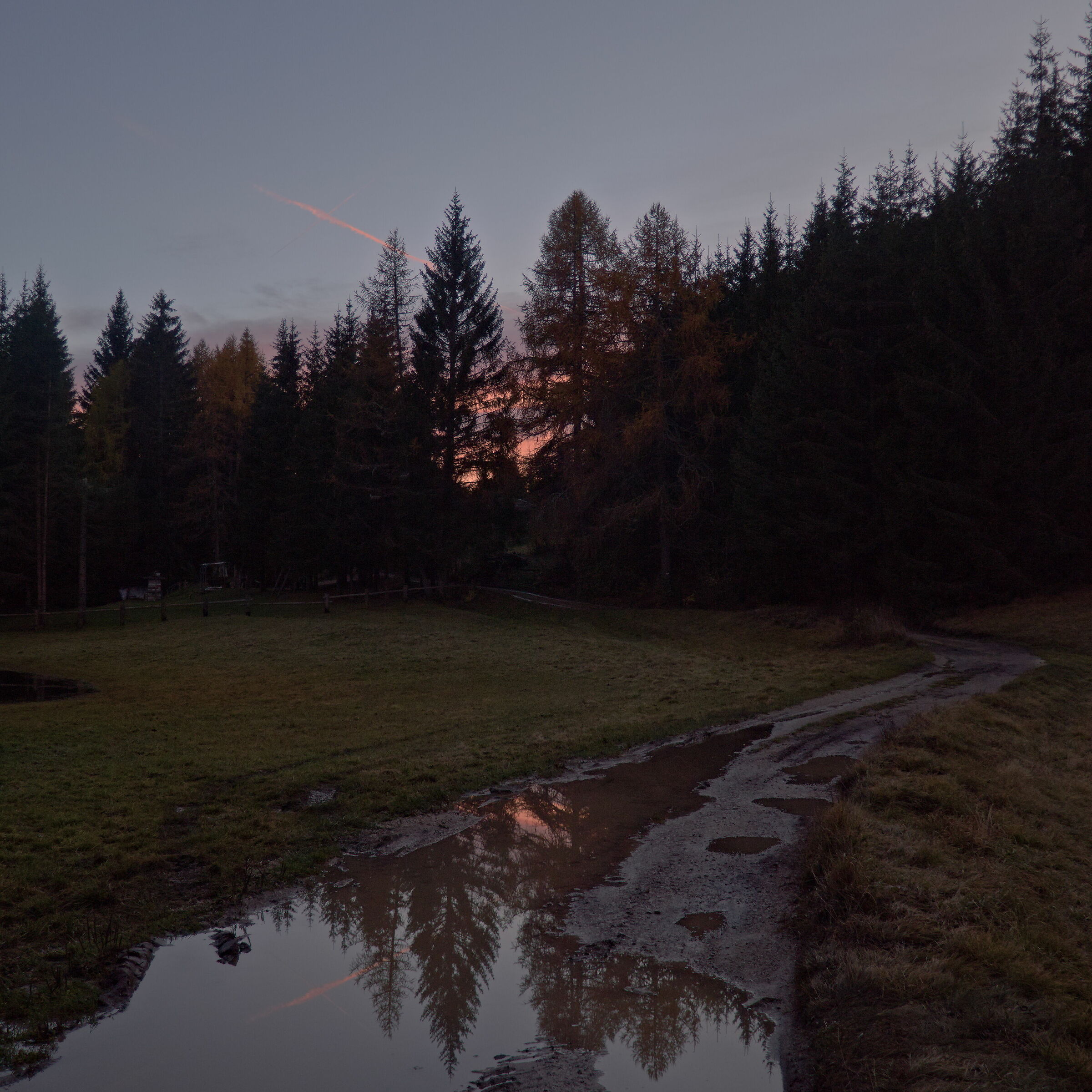 Avoid puddles and then love them