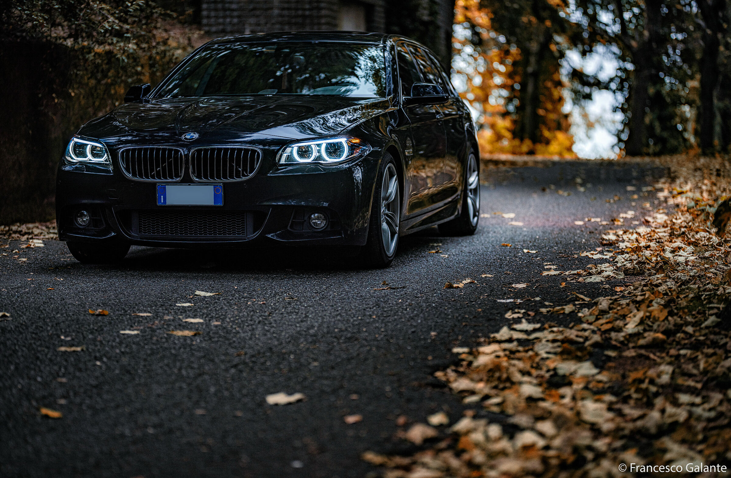 BMW 530d xDrive F11 MSport - 1