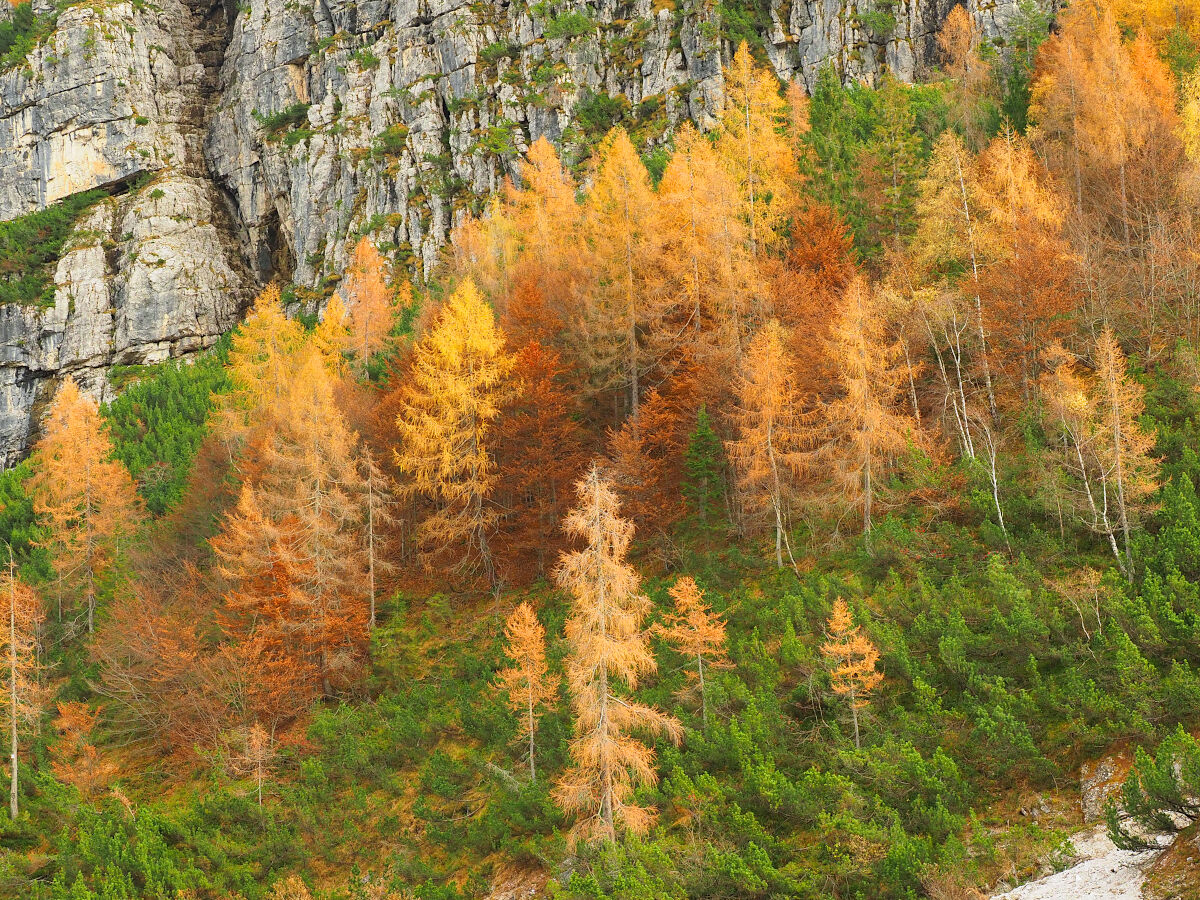 Last rays to set ilaric on fire