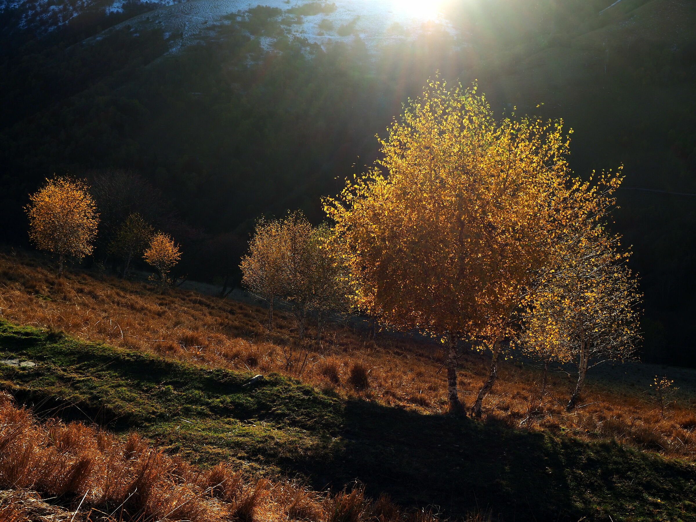 The first snowfall came up there.