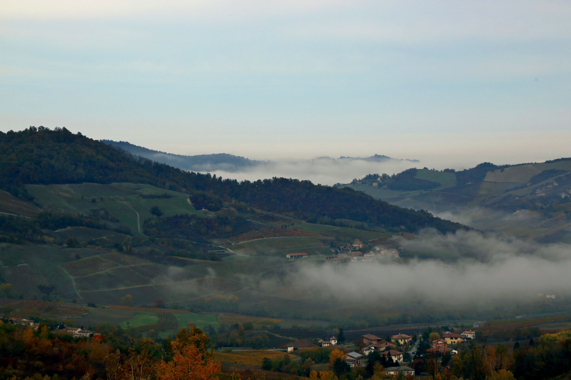 A stroll through the vineyards
