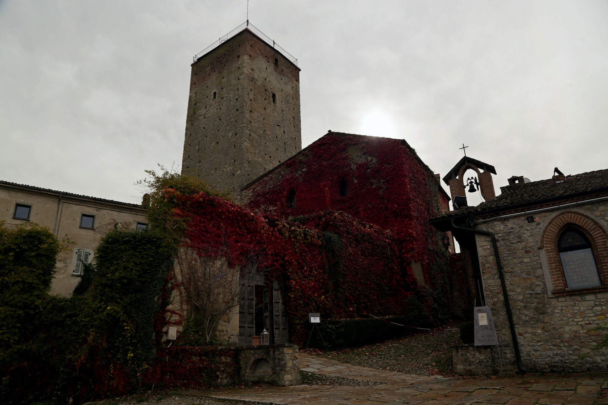 A walk through the vineyards