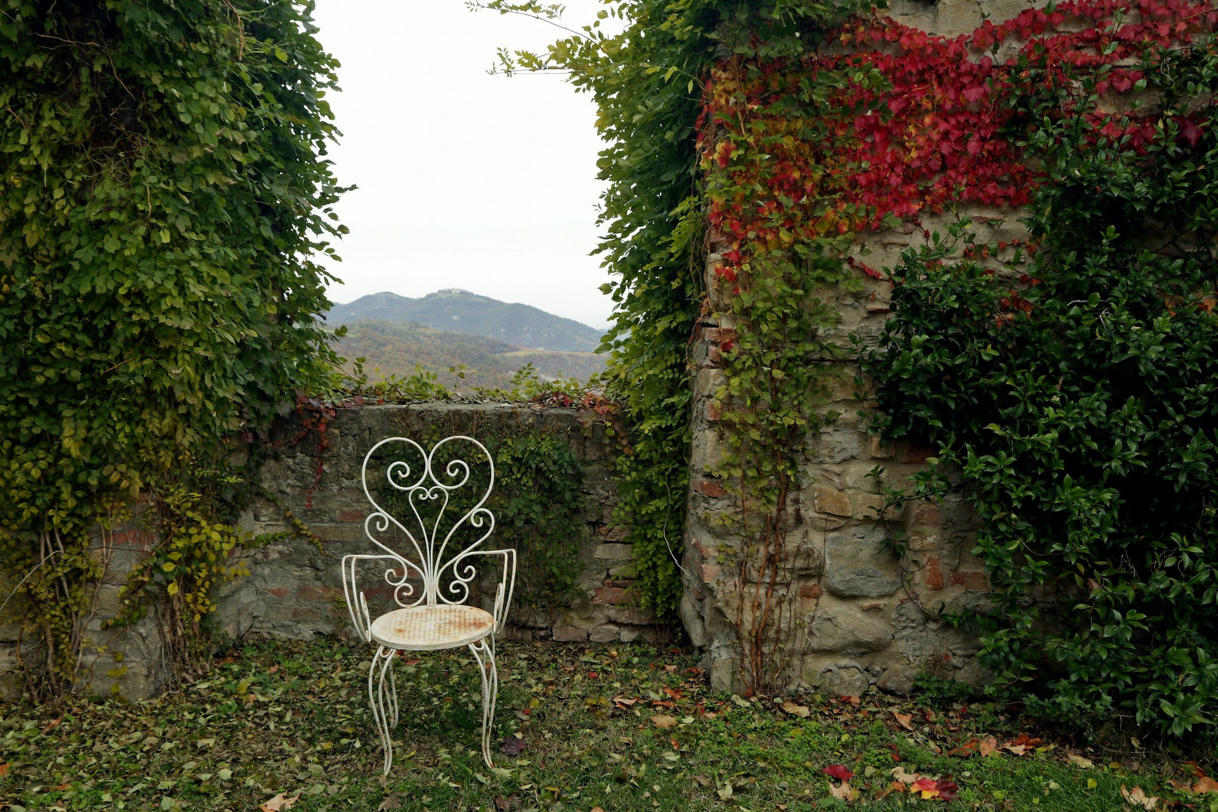 A walk through the vineyards