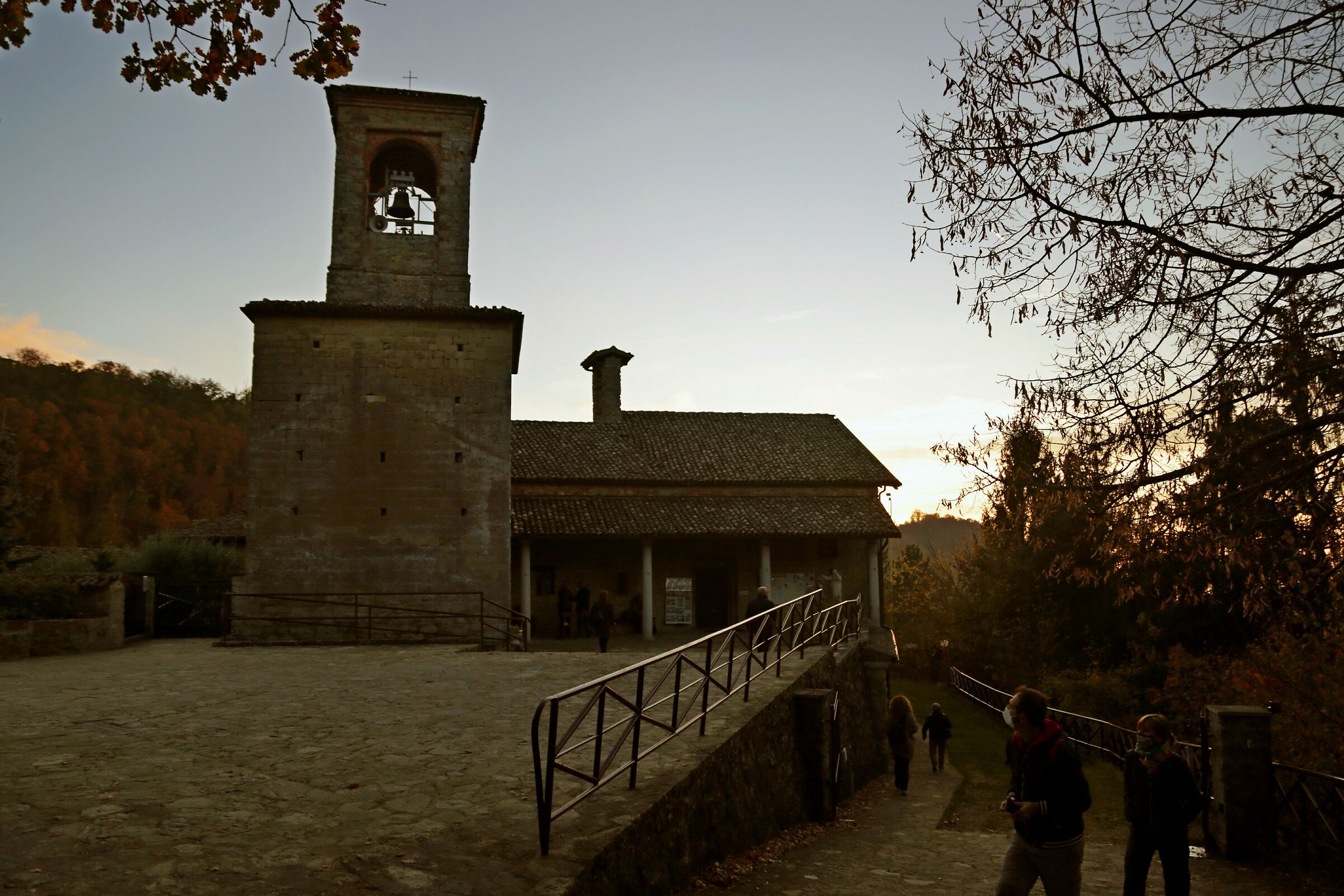 A walk through the vineyards