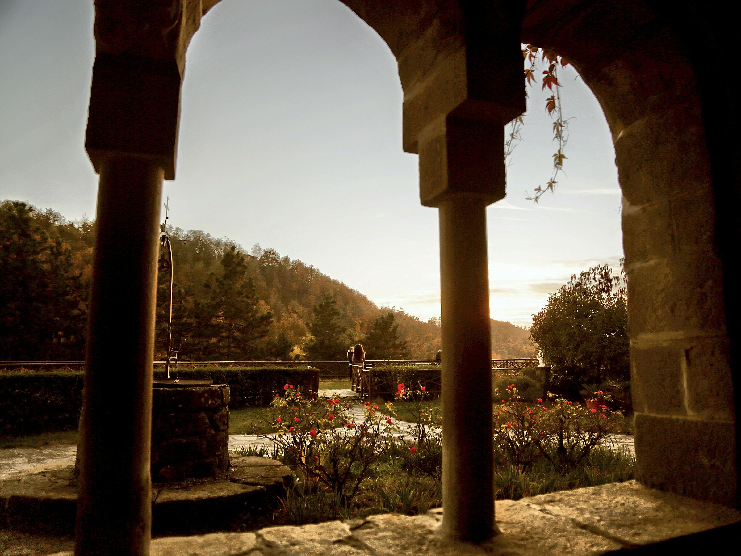 A walk through the vineyards