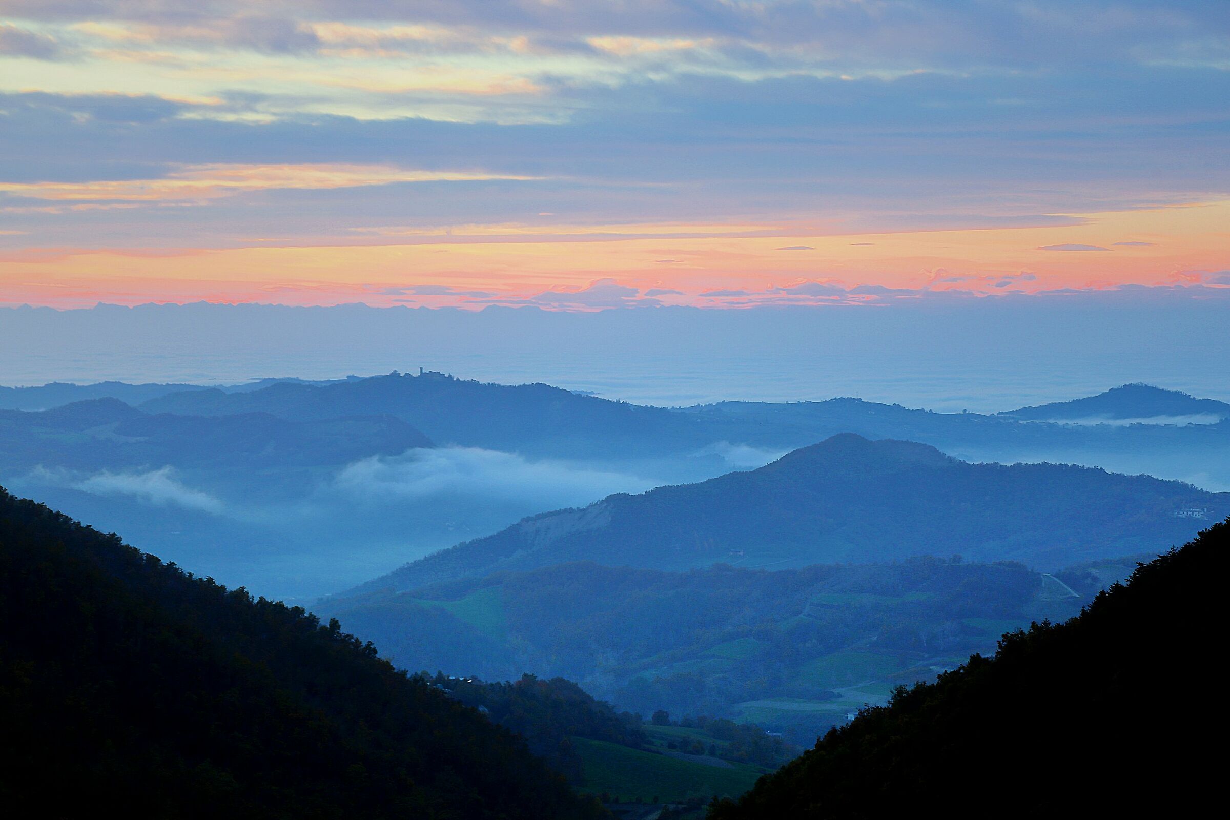 A walk through the vineyards