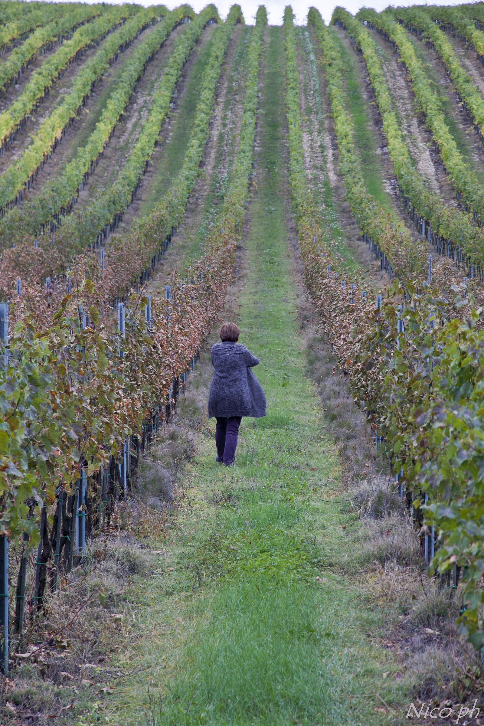 Distance between the screws of the other