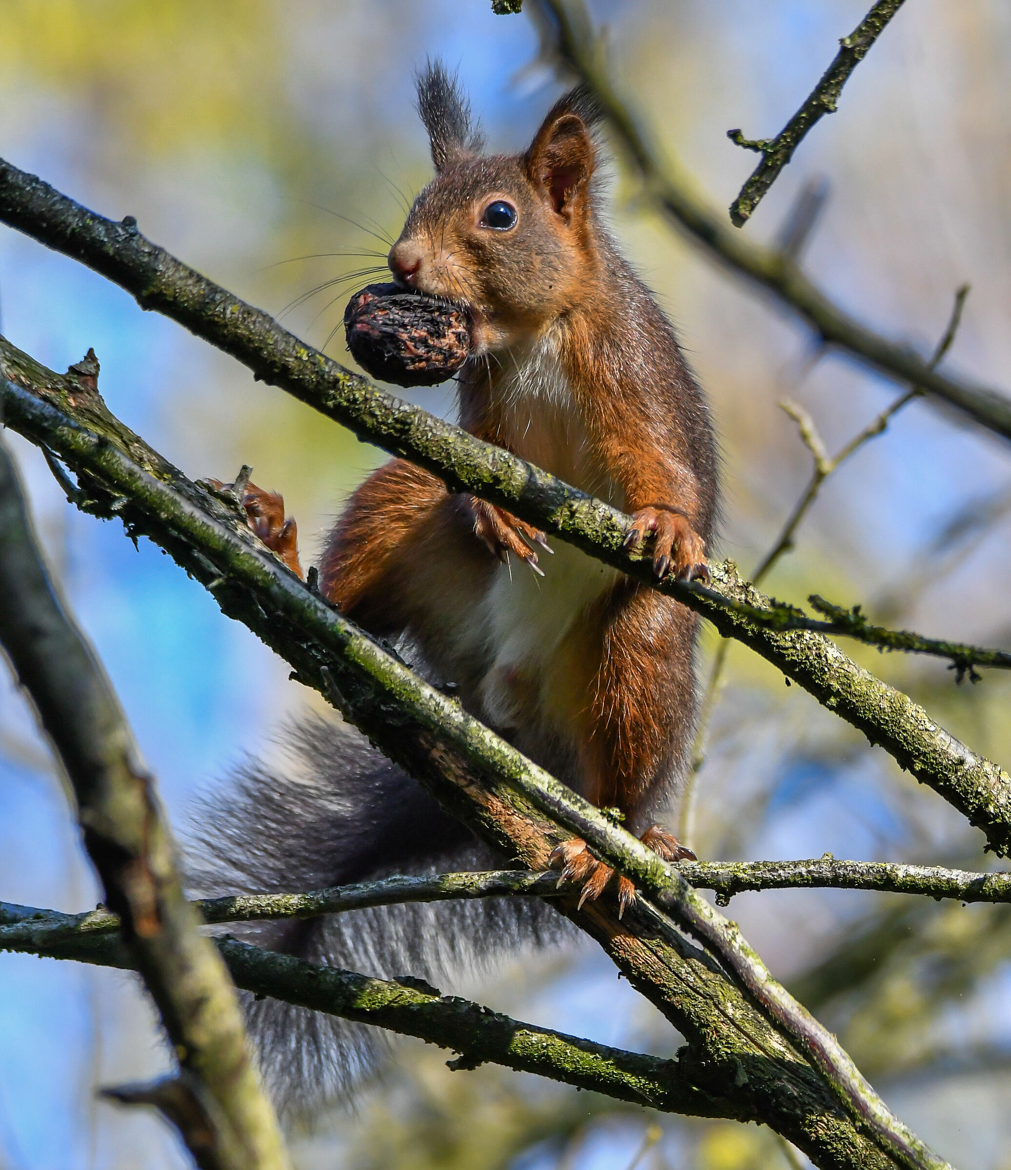 Prepariamoci per l'inverno
