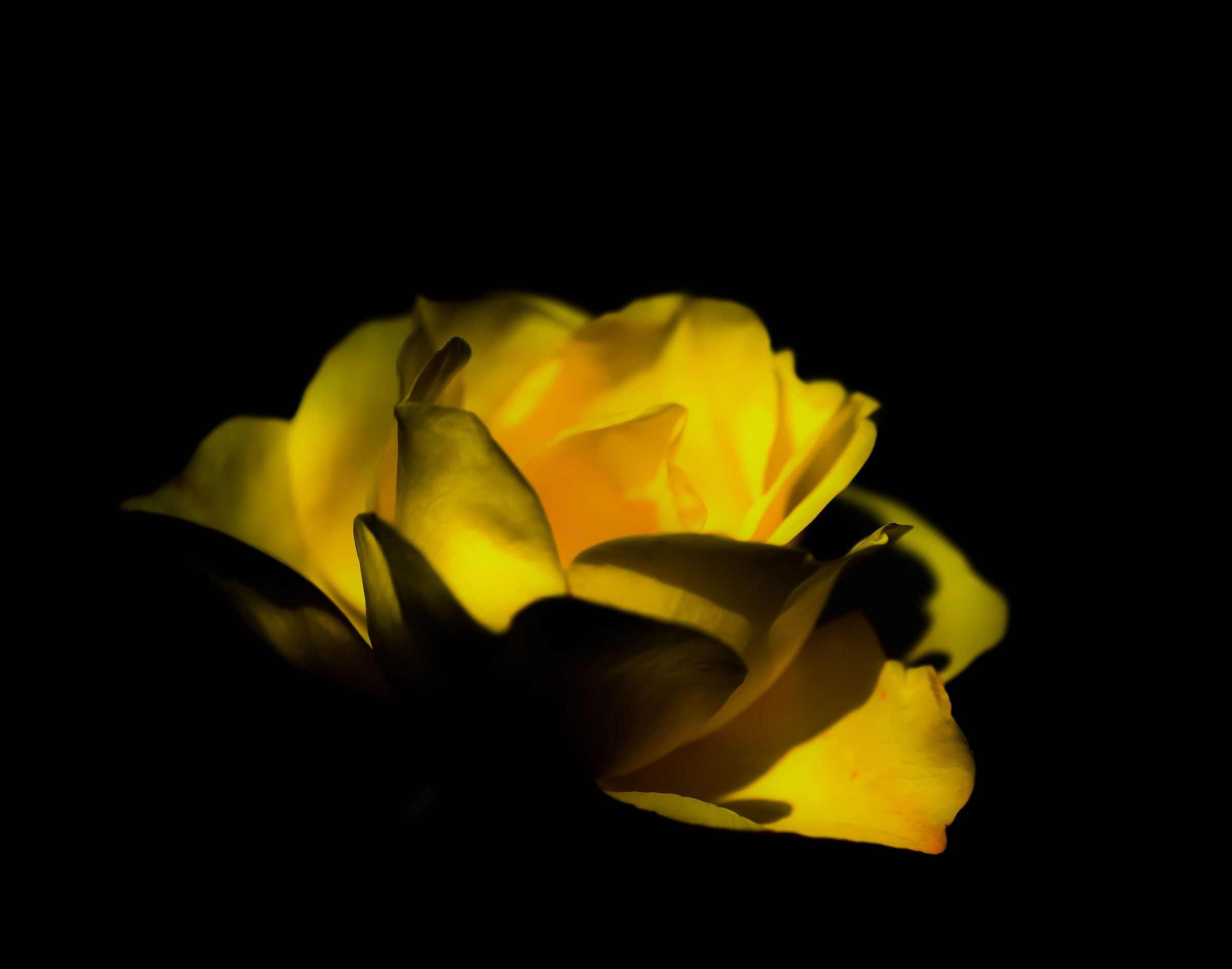 E poi saran le ultime oramai.....