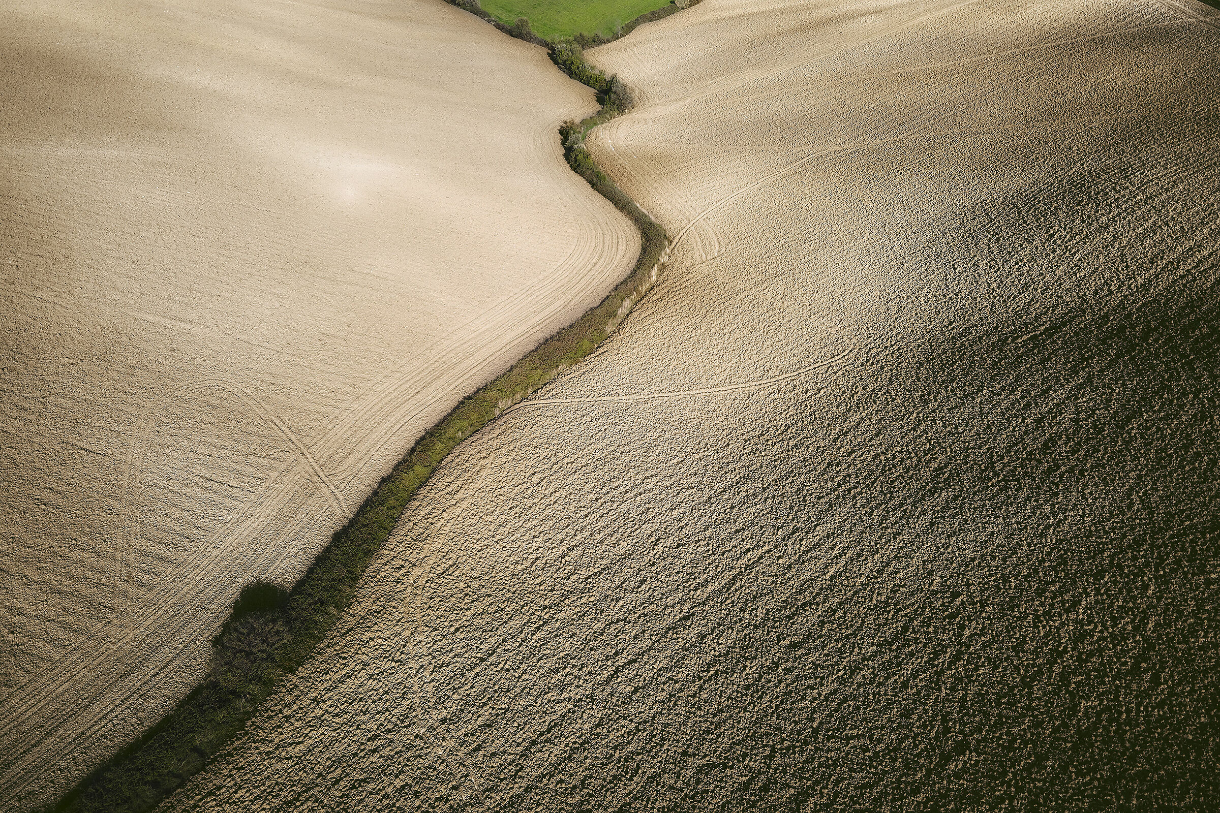 Maremma hillocks