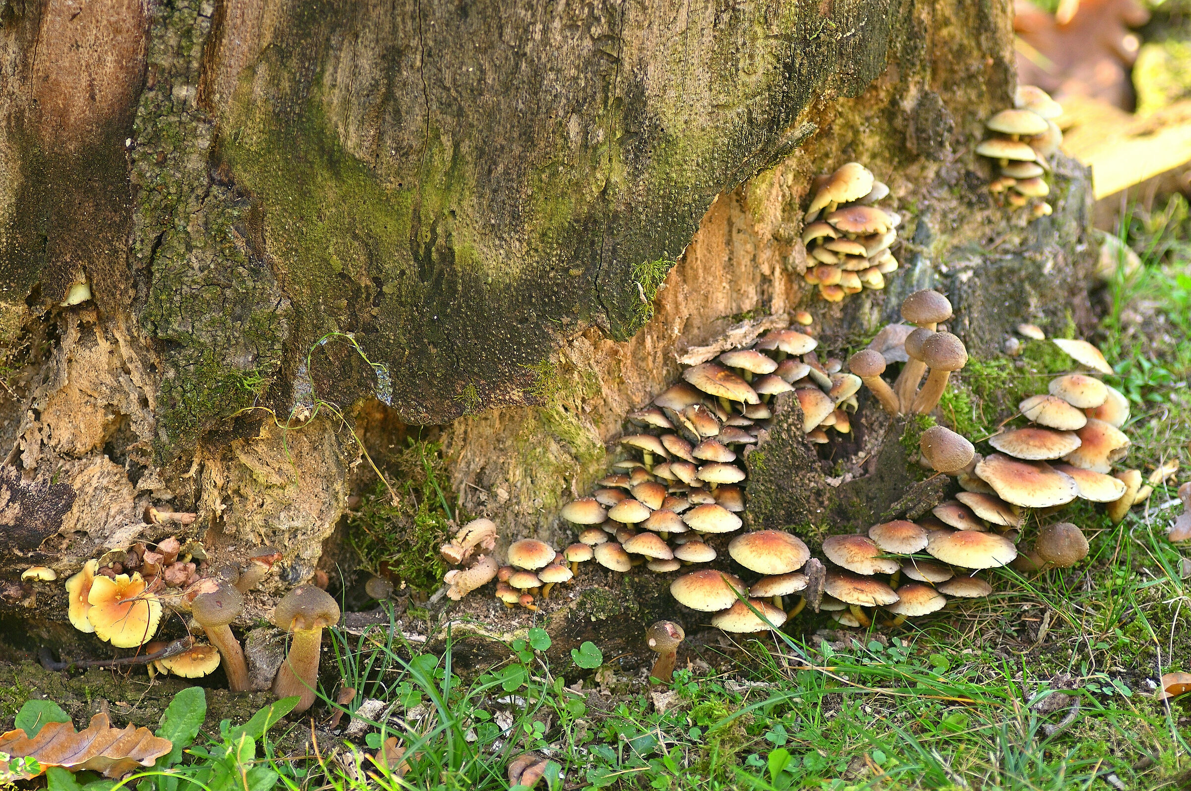 The last remaining nails...