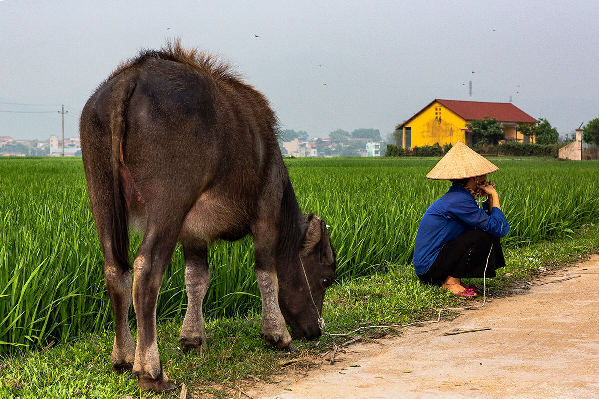 "Waiting" is that thread that unites us