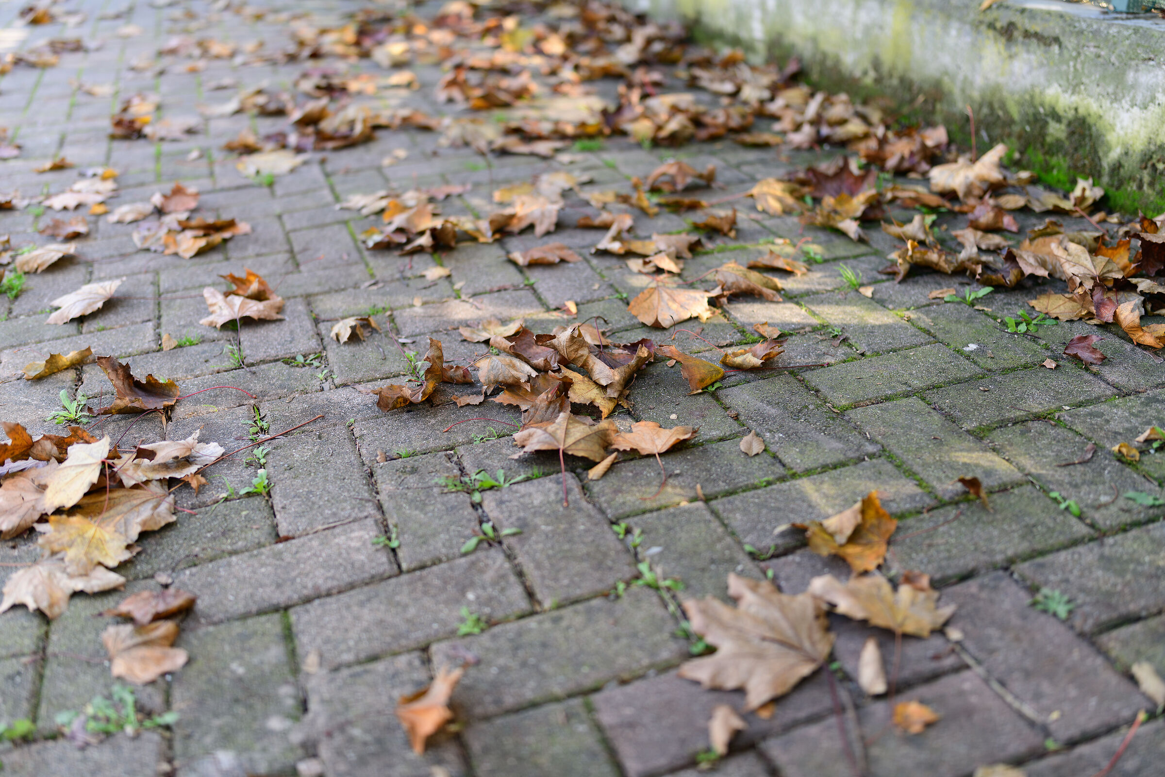 test new 35mm tammy 1.4