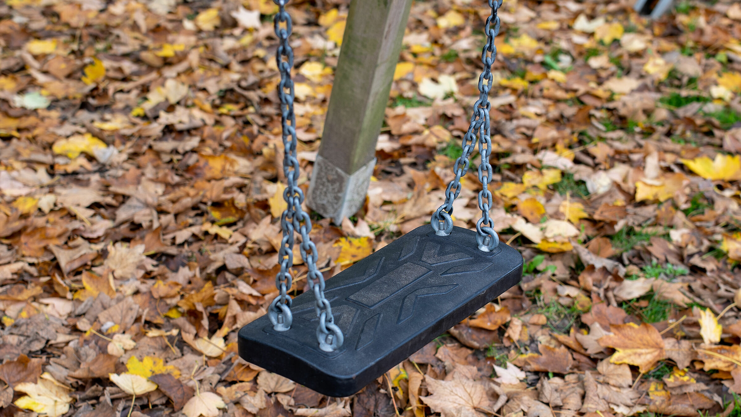 test new 35mm tammy 1.4