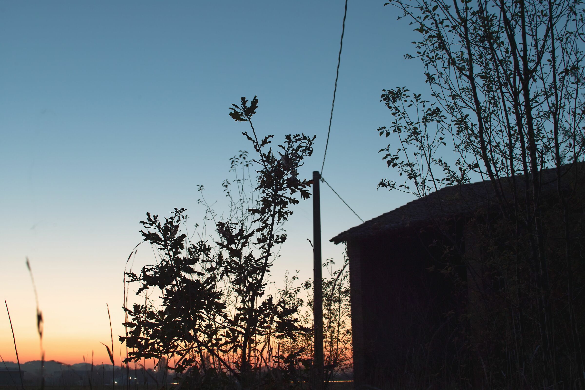 Sunset in the country