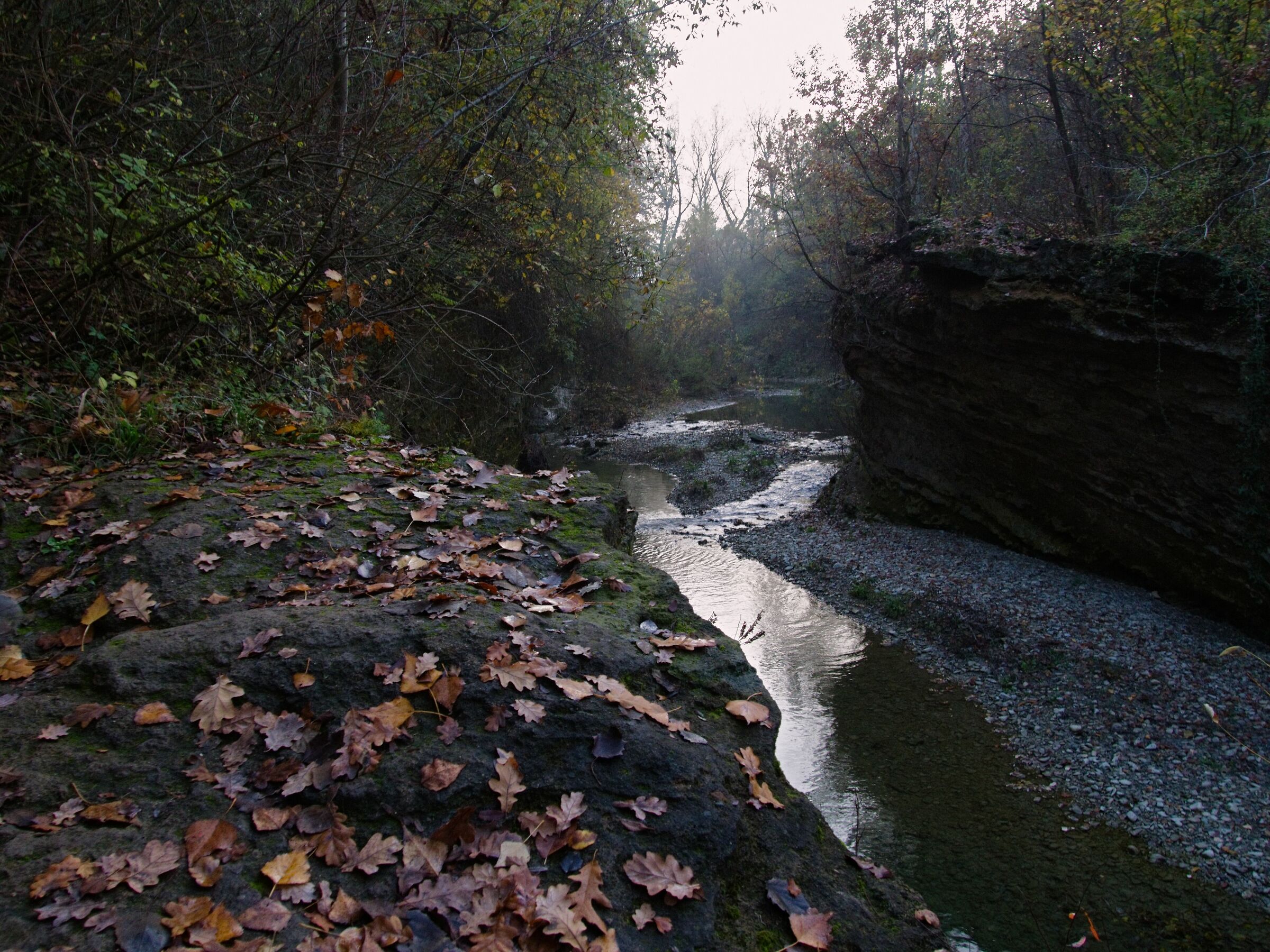 Parco dello Stirone (Salsomaggiore Terme)