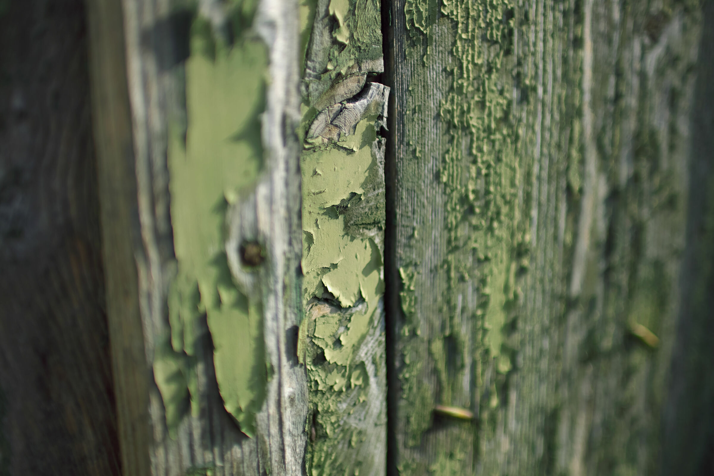 Echi da un mondo abbandonato