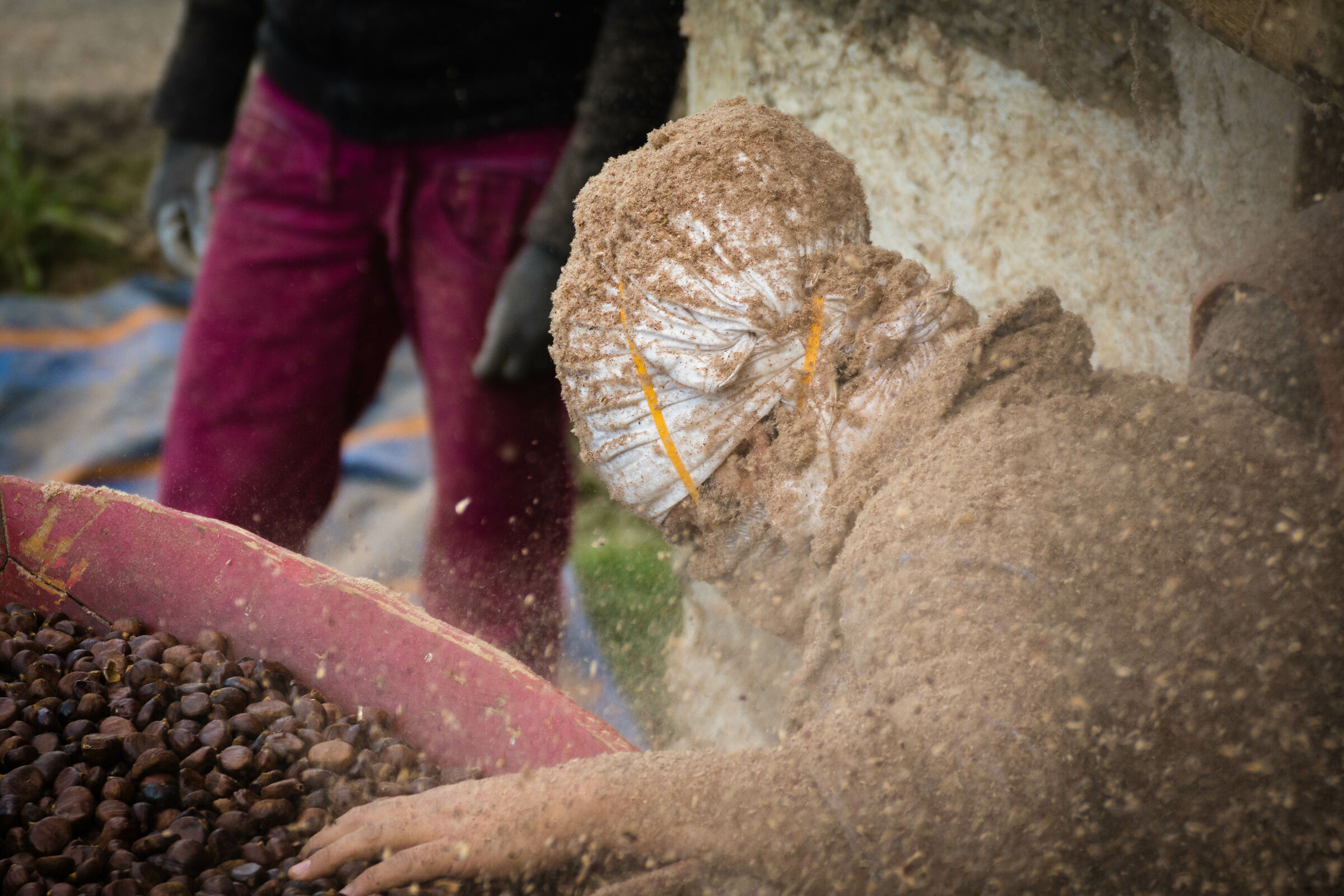 L'uomo delle castagne
